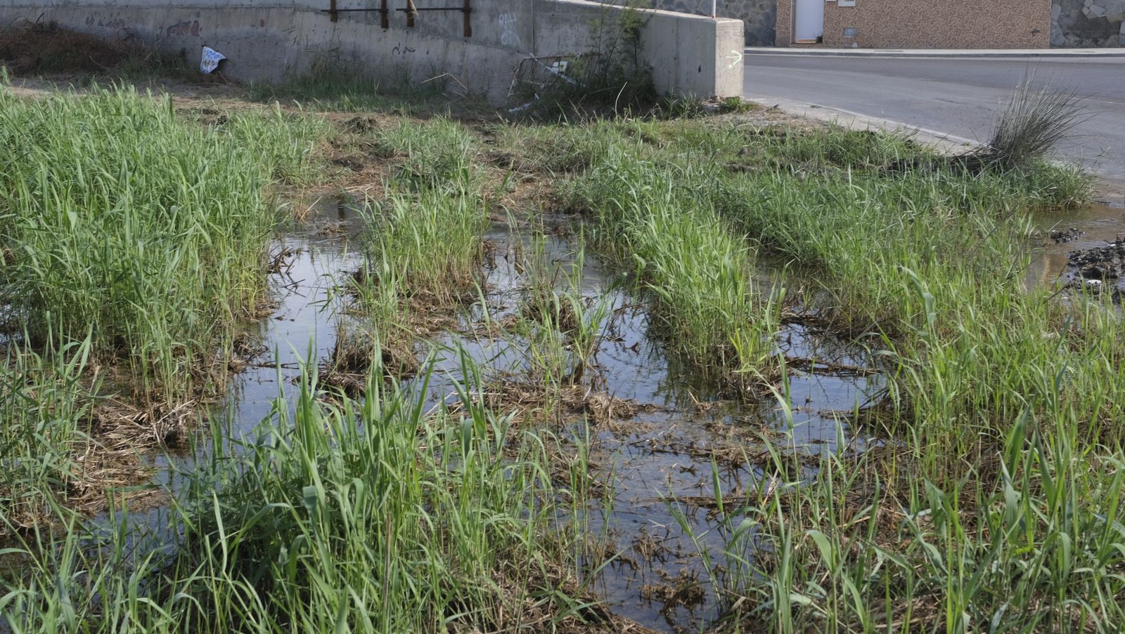 Imágenes del 'lago artificial' de Costacabana