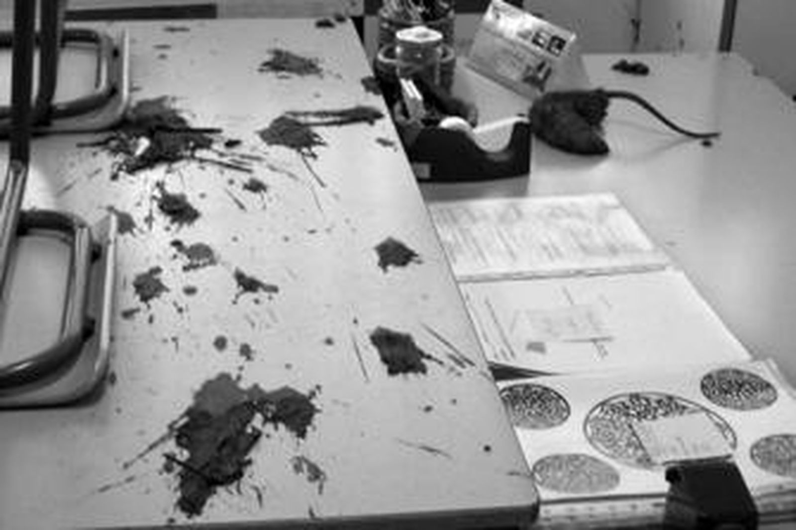 Una rata de gran tamaño y lodo arrojados por la ventana en una clase del instituto Torre del Águila.