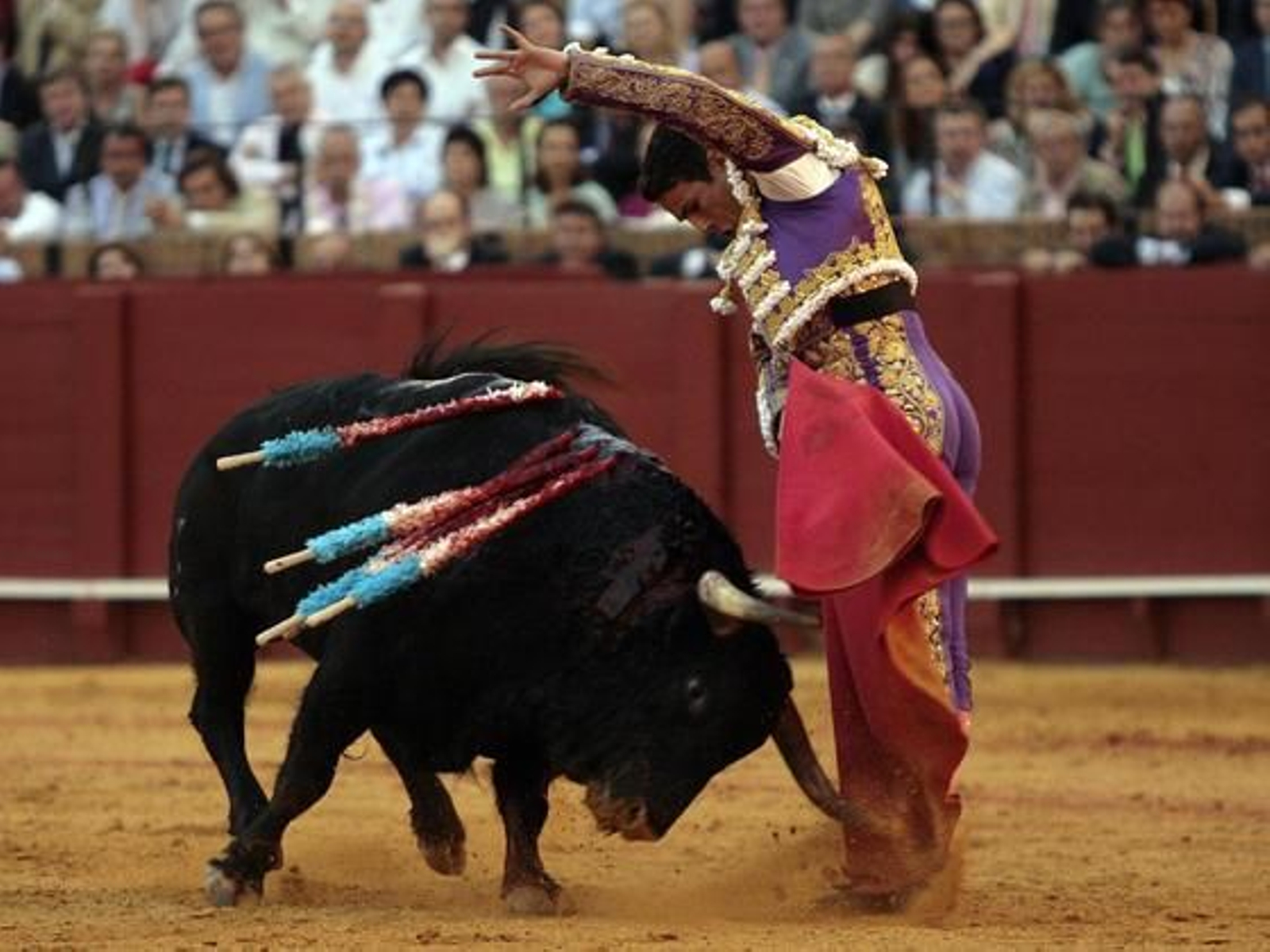 Manzanares con el quinto toro.

Foto: Juan Carlos Muñoz