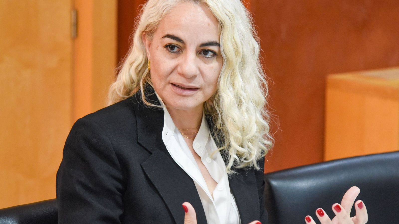 Yamile Zabana, presidenta del GETECCU.