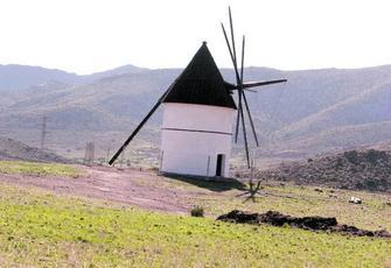 Cabo de GataDespierta el verde en