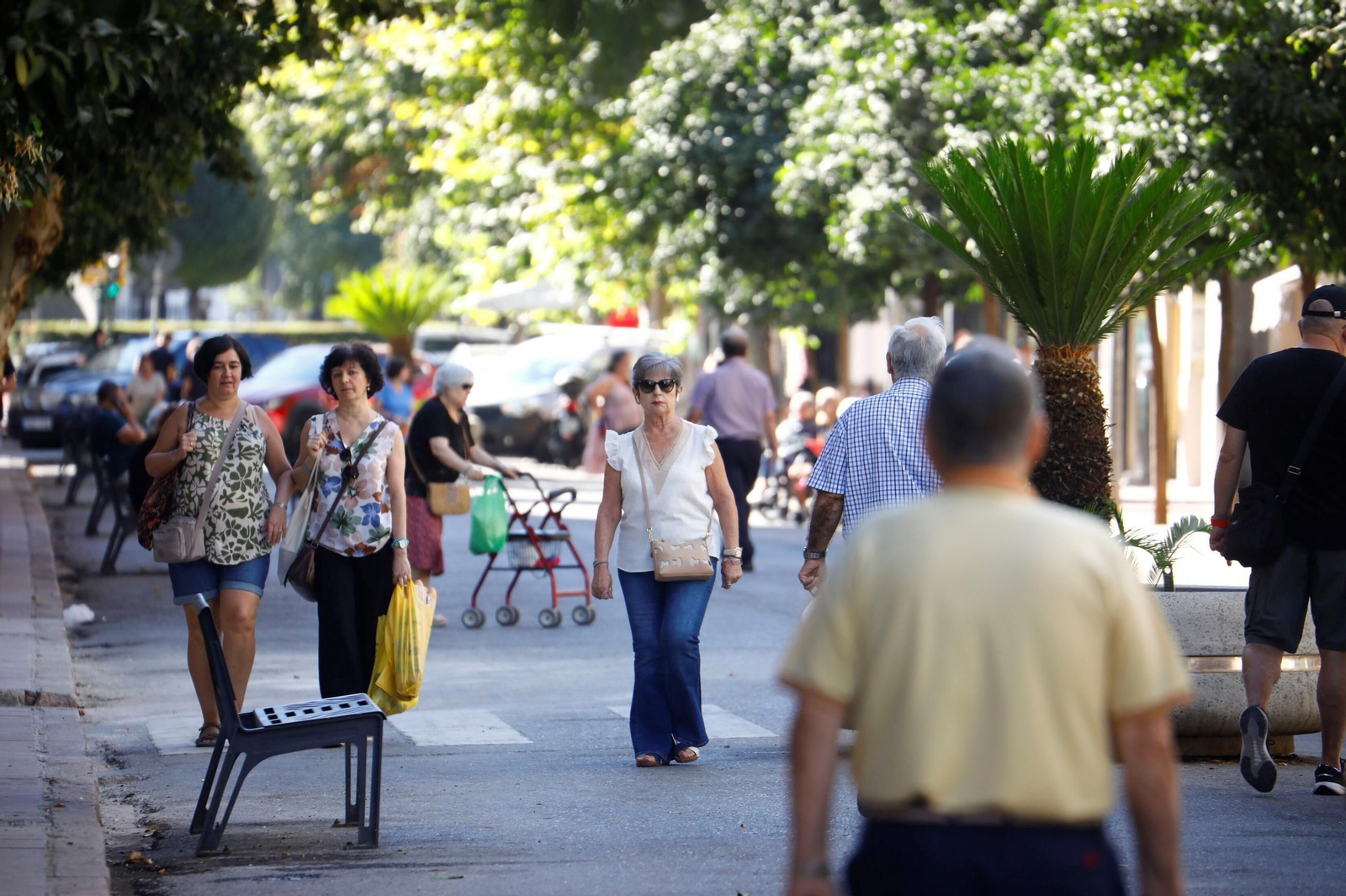 Las imágenes del inicio de las obras de reforma de La Viñuela