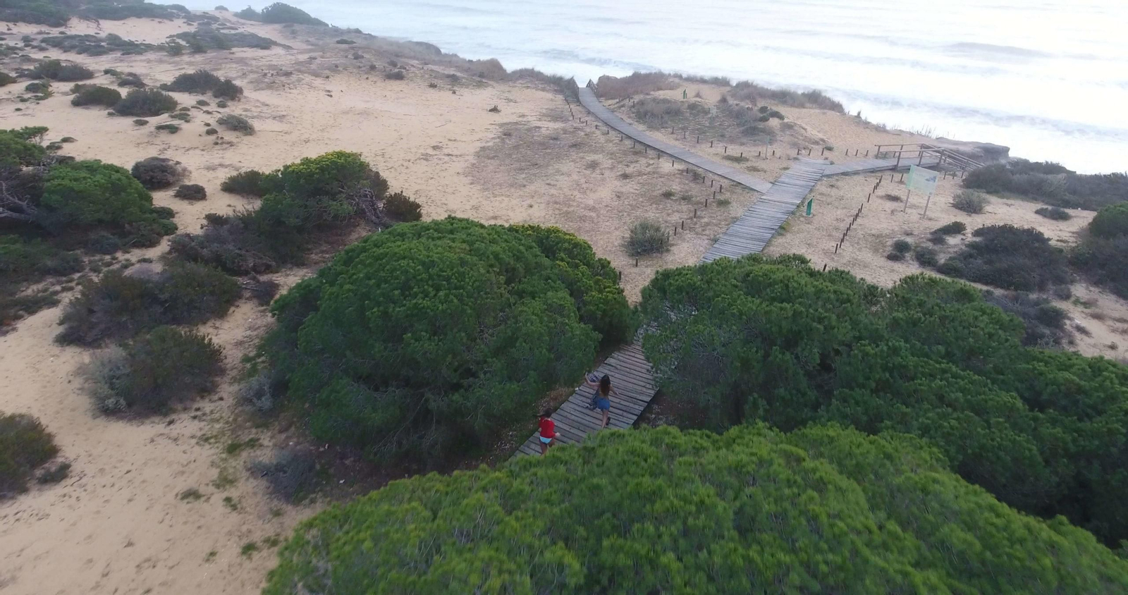 Matalascañas, un mar verde de pinos a orillas del Atlántico