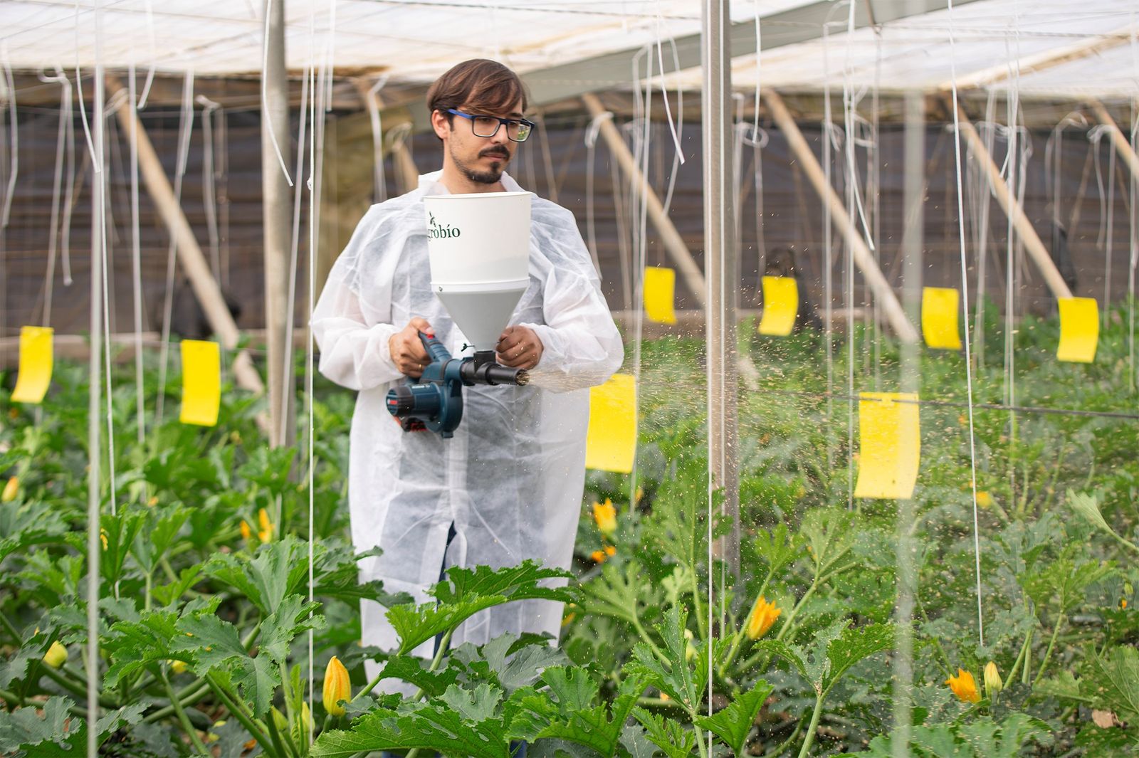 Innovación en genetica, nutricion, y sistemas de liberacion de enemigos naturales.