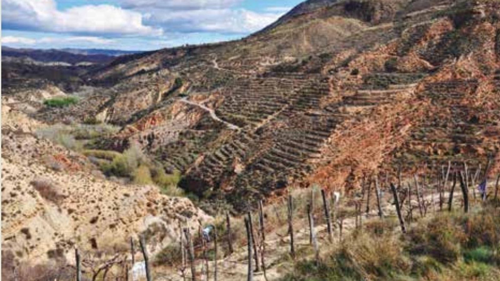 Parral abandonado. Andarax entre Padules y Canjayar.