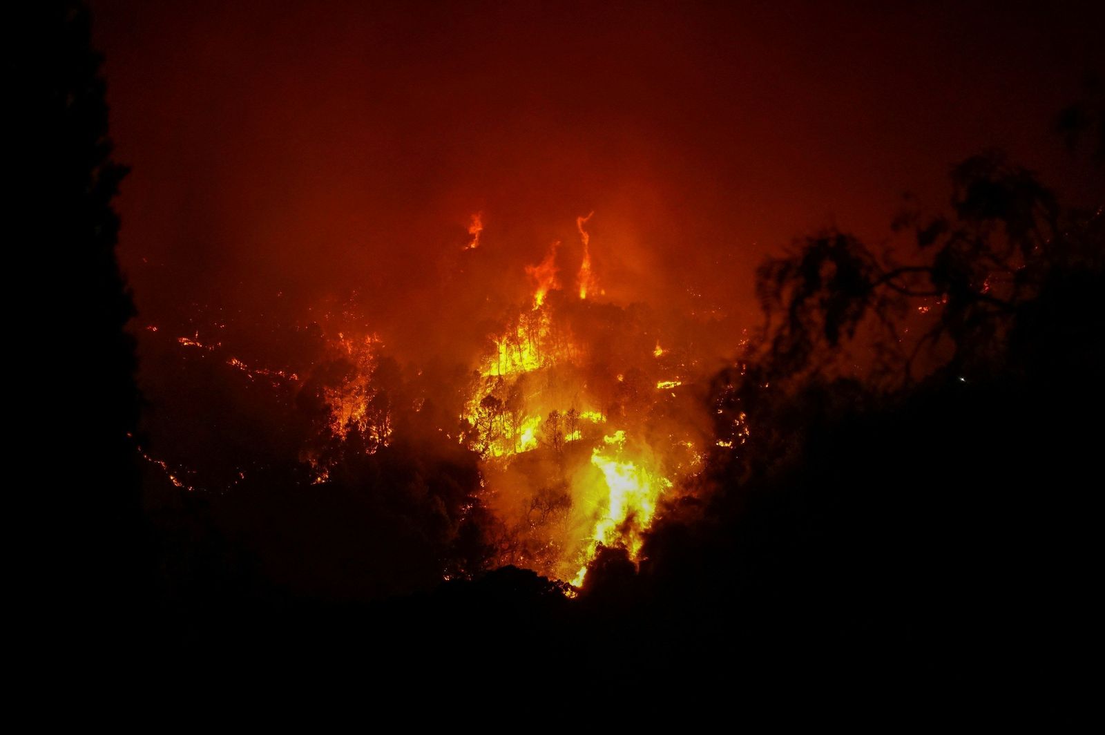 Las fotos del incendio forestal en Casares