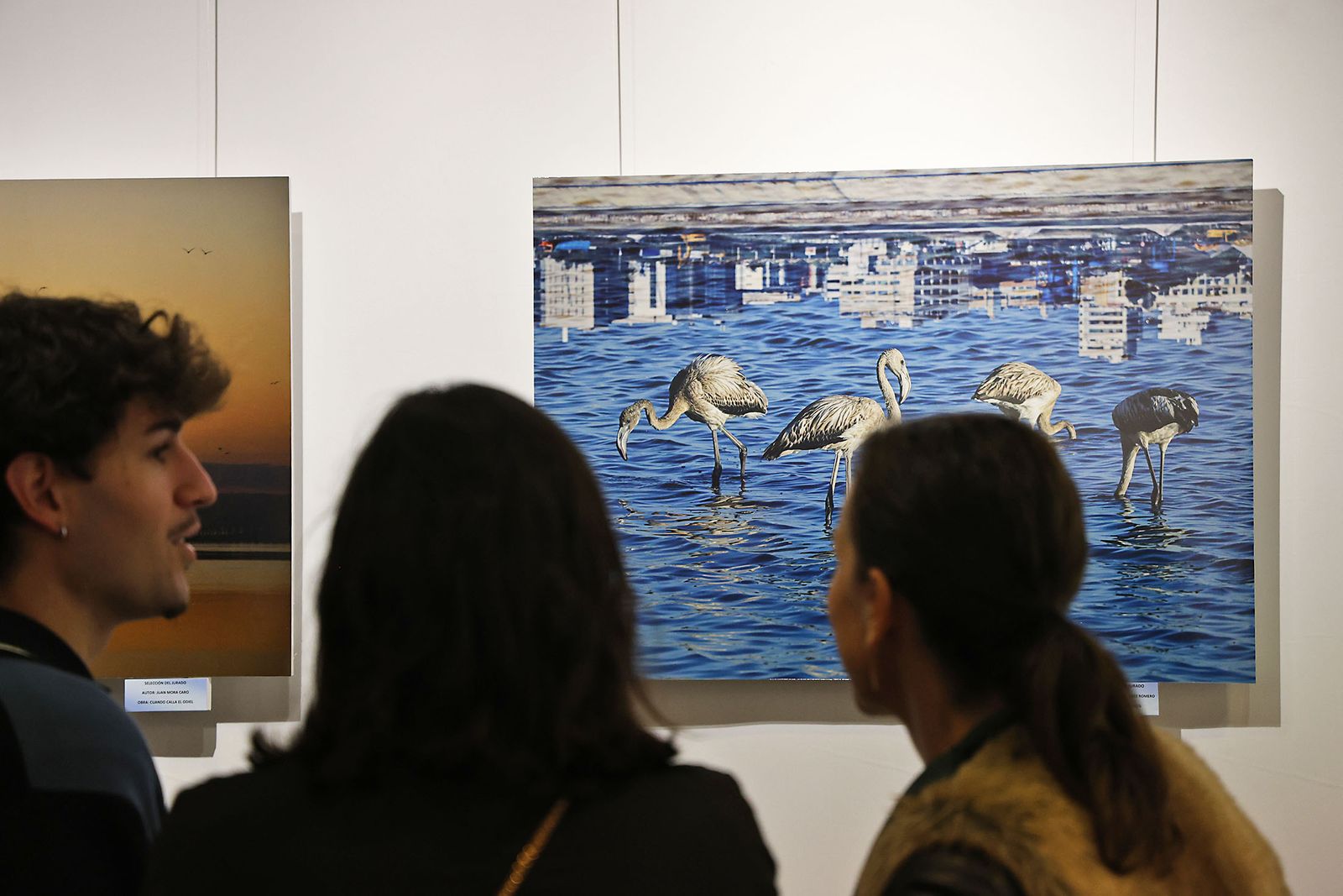 Exposición del Concurso de Fotografía 'Alas del Odiel'