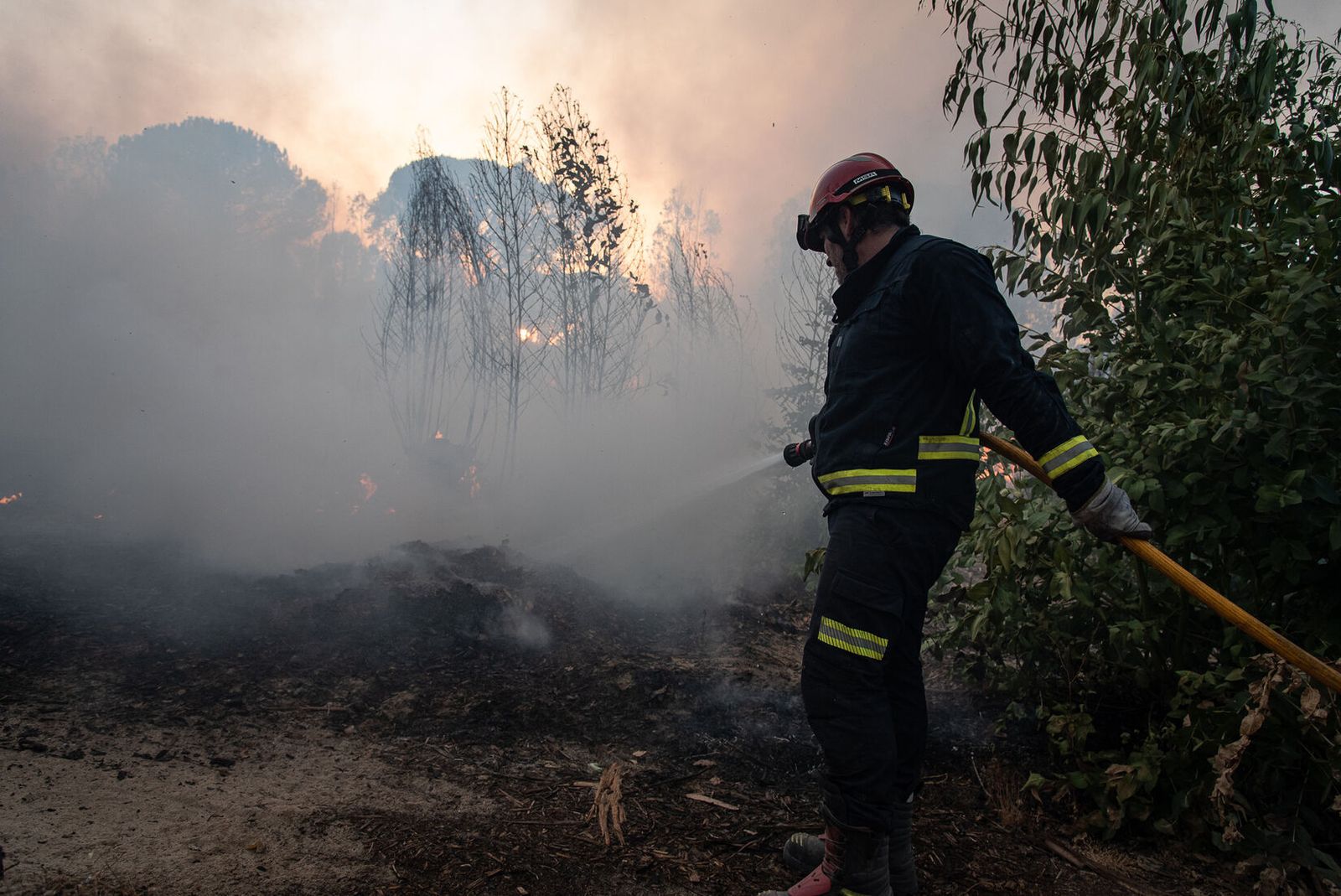 Incendio en Bonares el pasado verano.