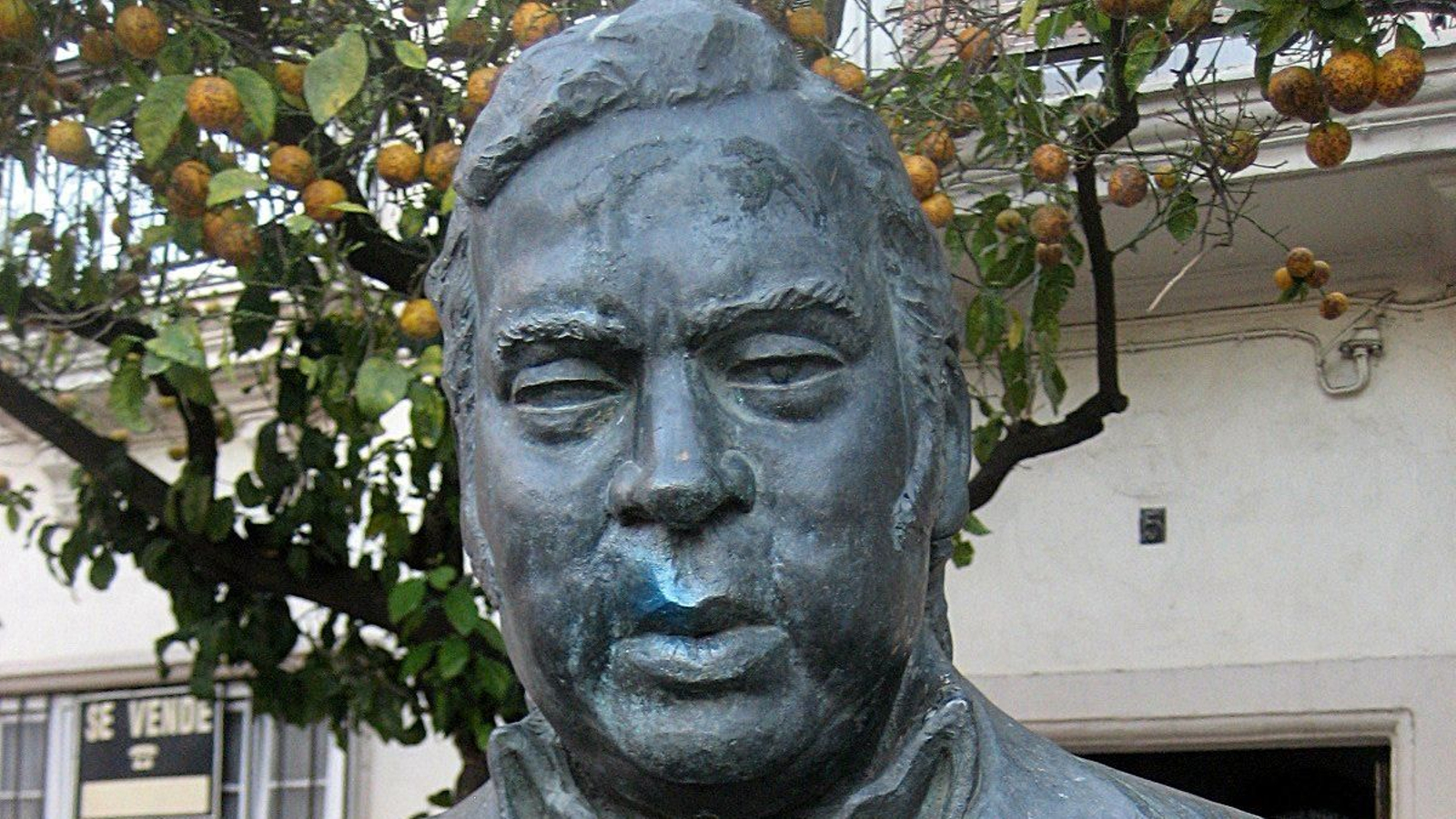 Fernando Terremoto