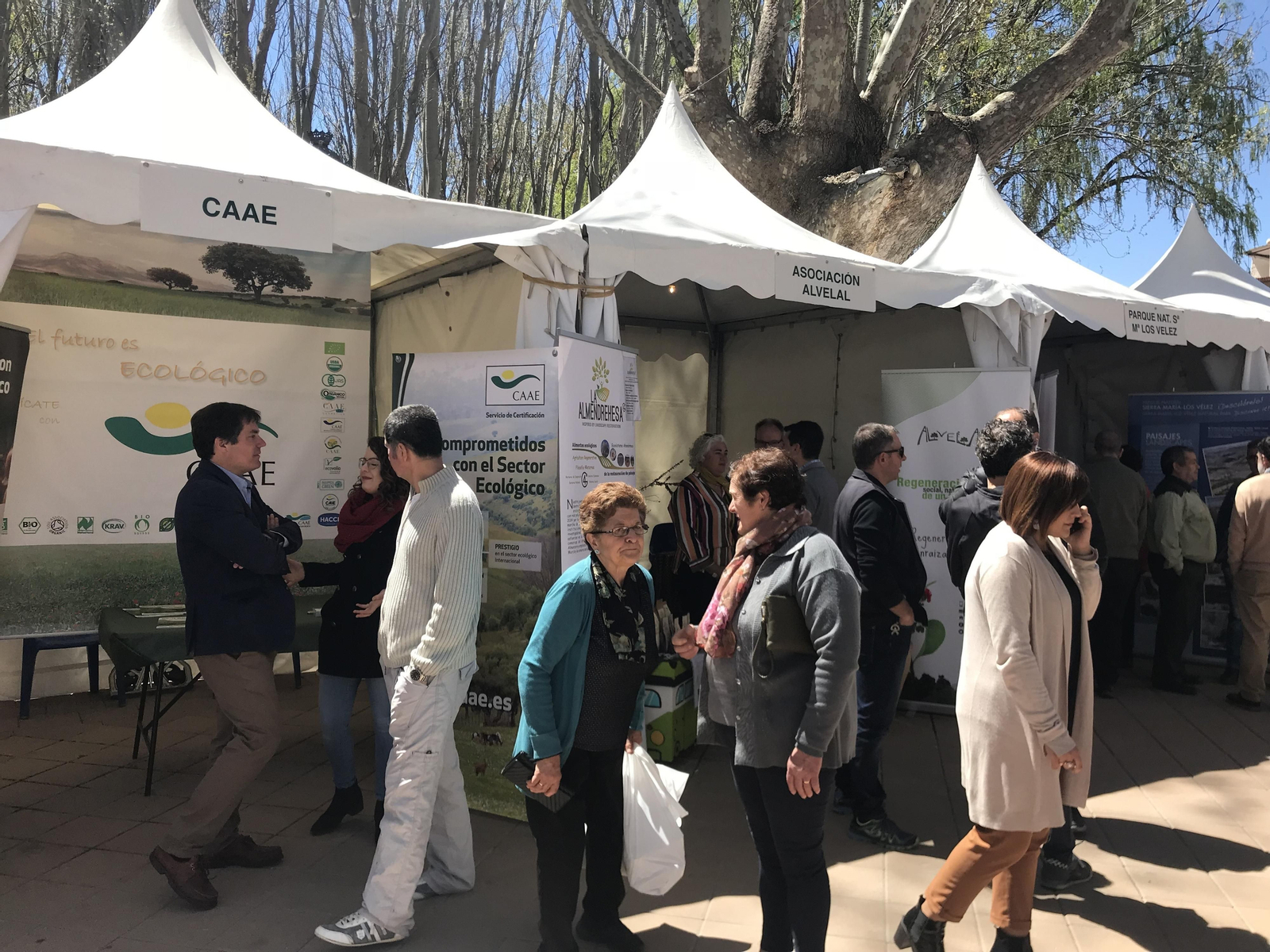 Imágenes de Terracultura 2019, en Chirivel