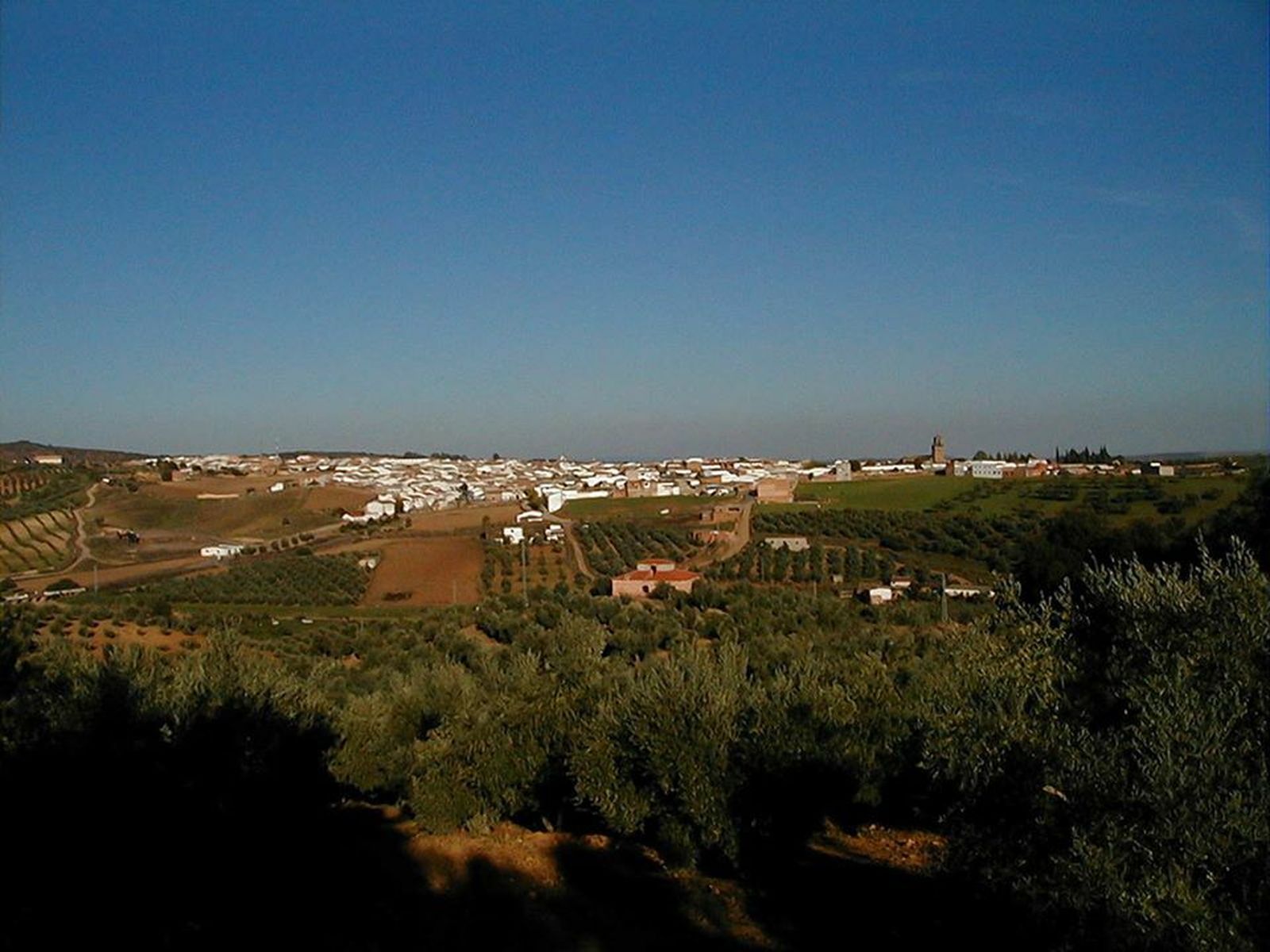 Panorámica del término municipal de Adamuz