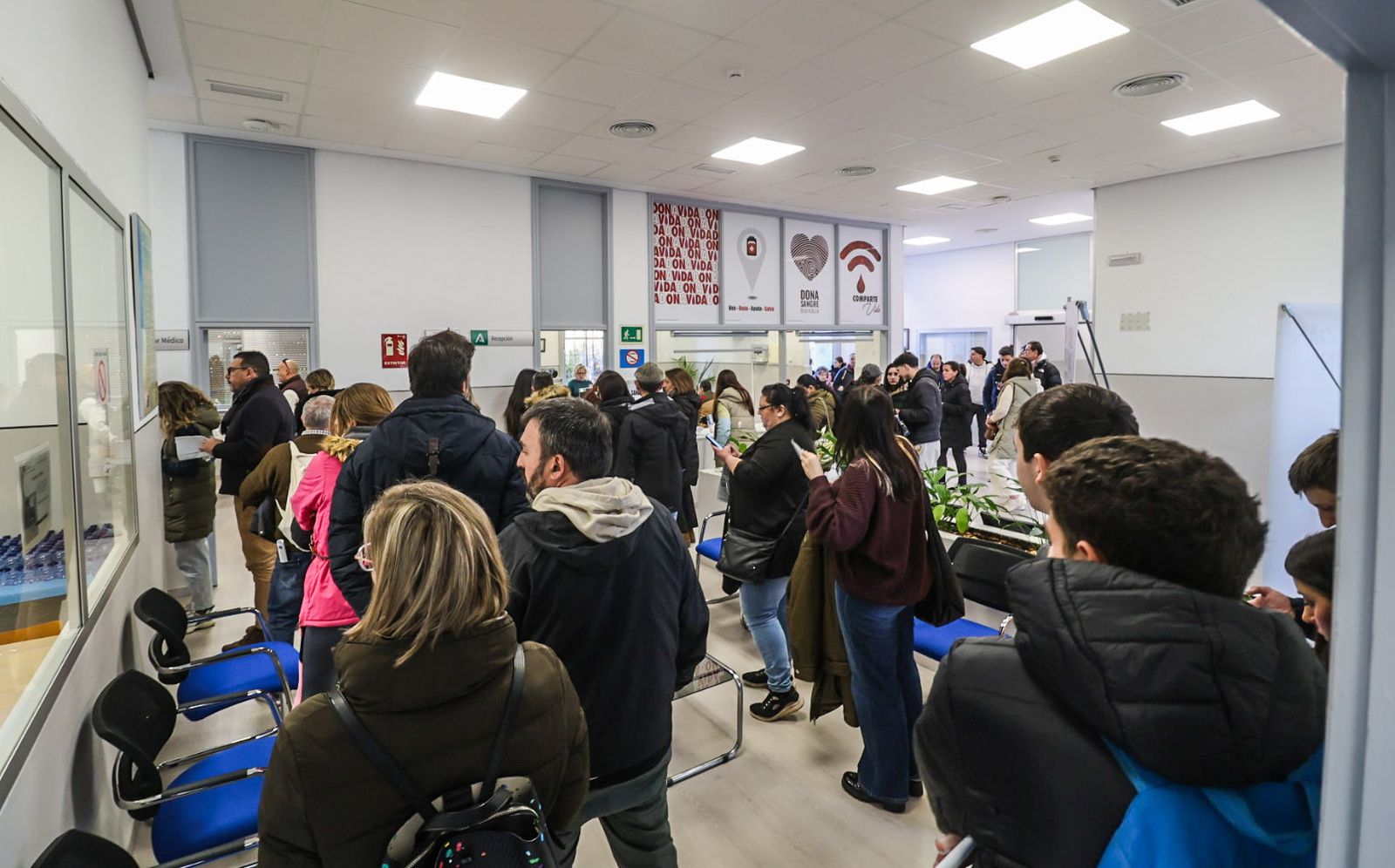 Personas llegadas de toda Andalucía donan sangre en Córdoba para los afectados de la tragedia, en fotografías