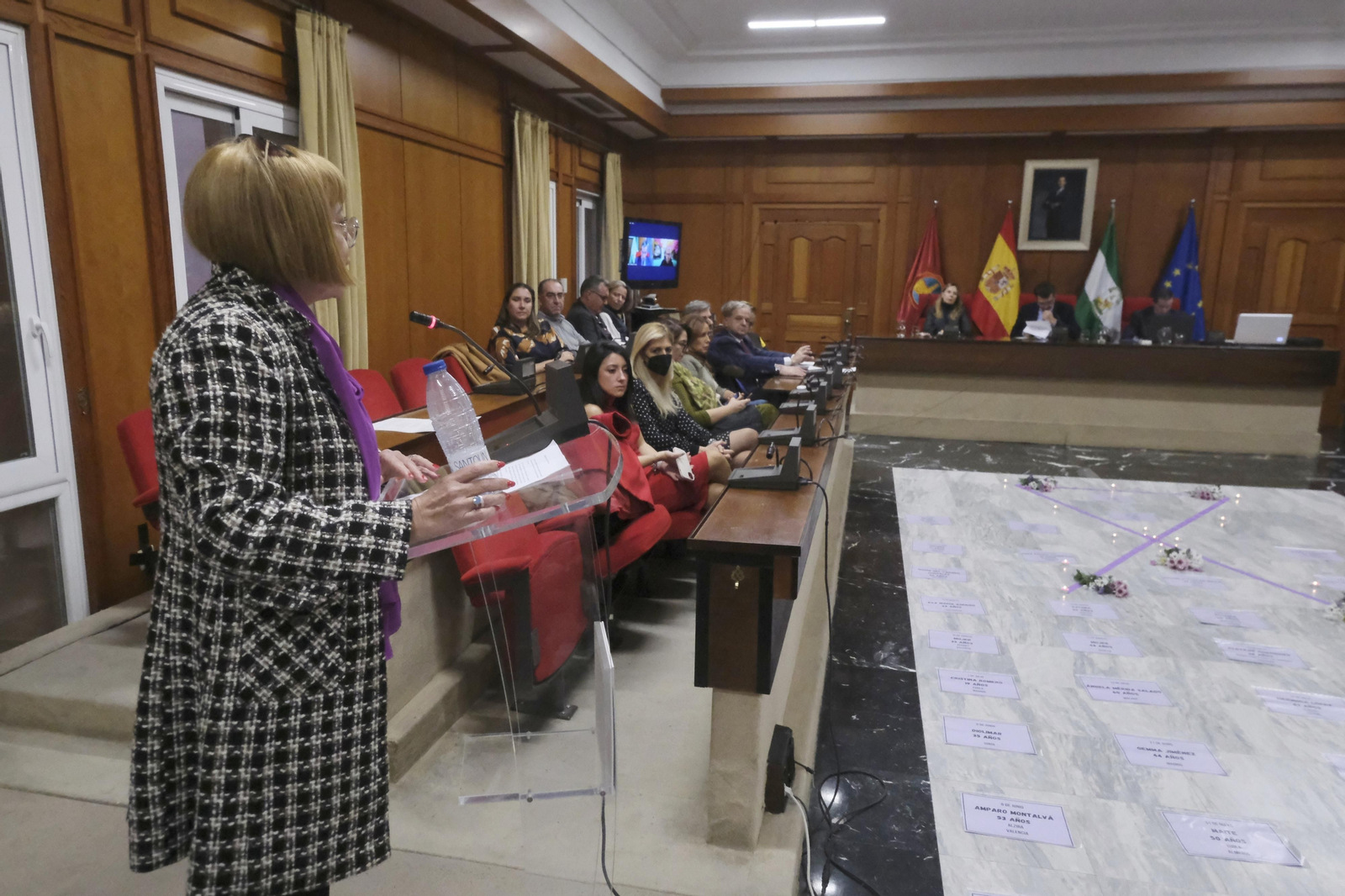 El Pleno del Ayuntamiento de Córdoba contra la violencia a las mujeres, en imágenes
