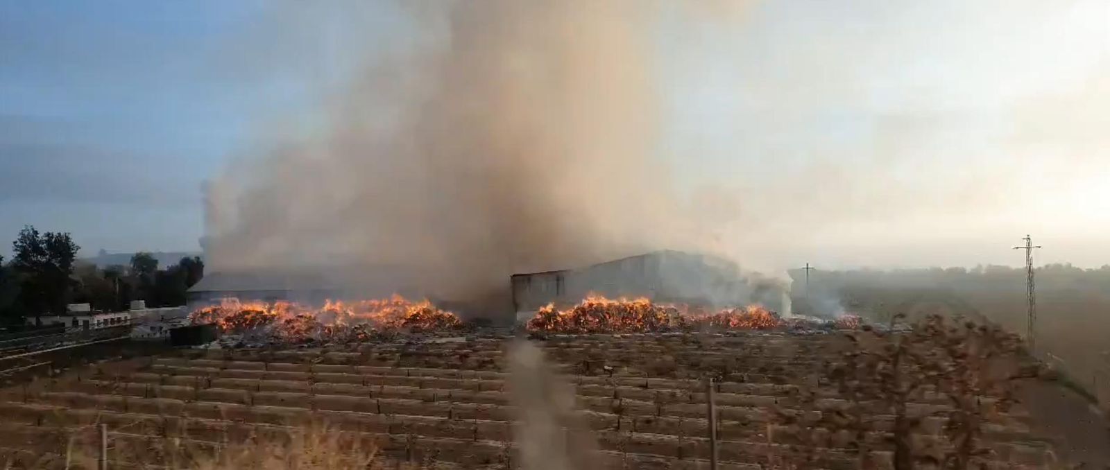 Bomberos de cinco parques trabajan en un incendio en una nave de algodón en Écija