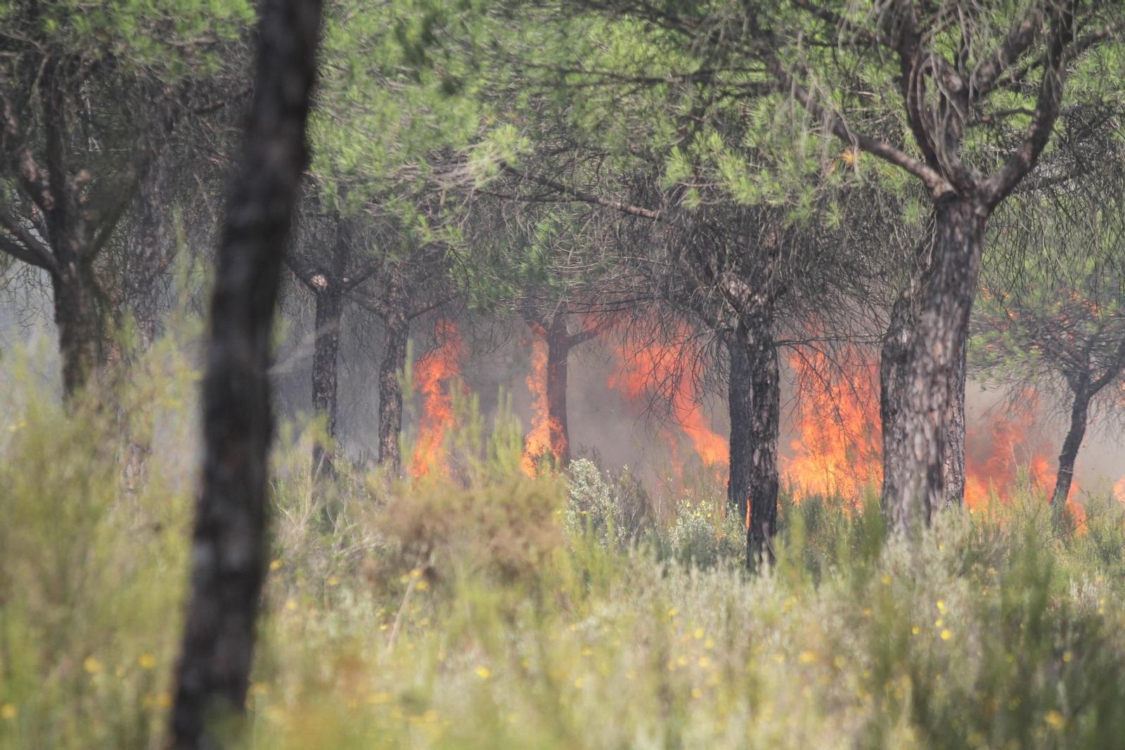 Las imágenes del incendio en Moguer y Mazagón
