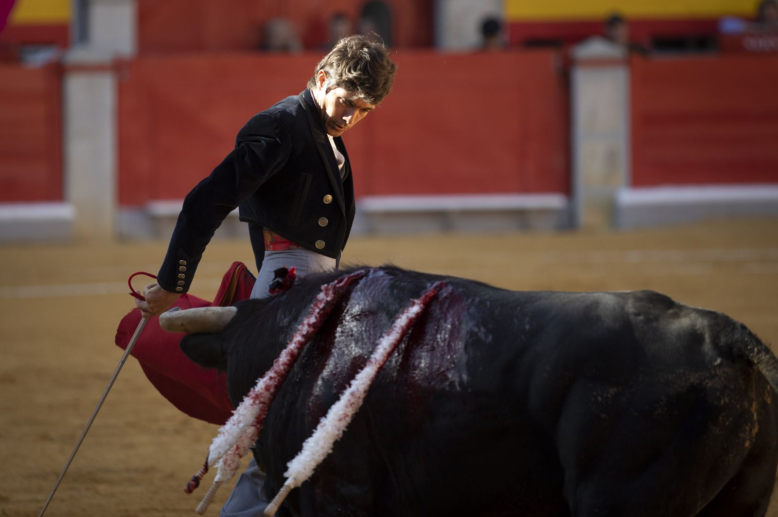 Las mejores imágenes del Festival Taurino en beneficio de Granadadown