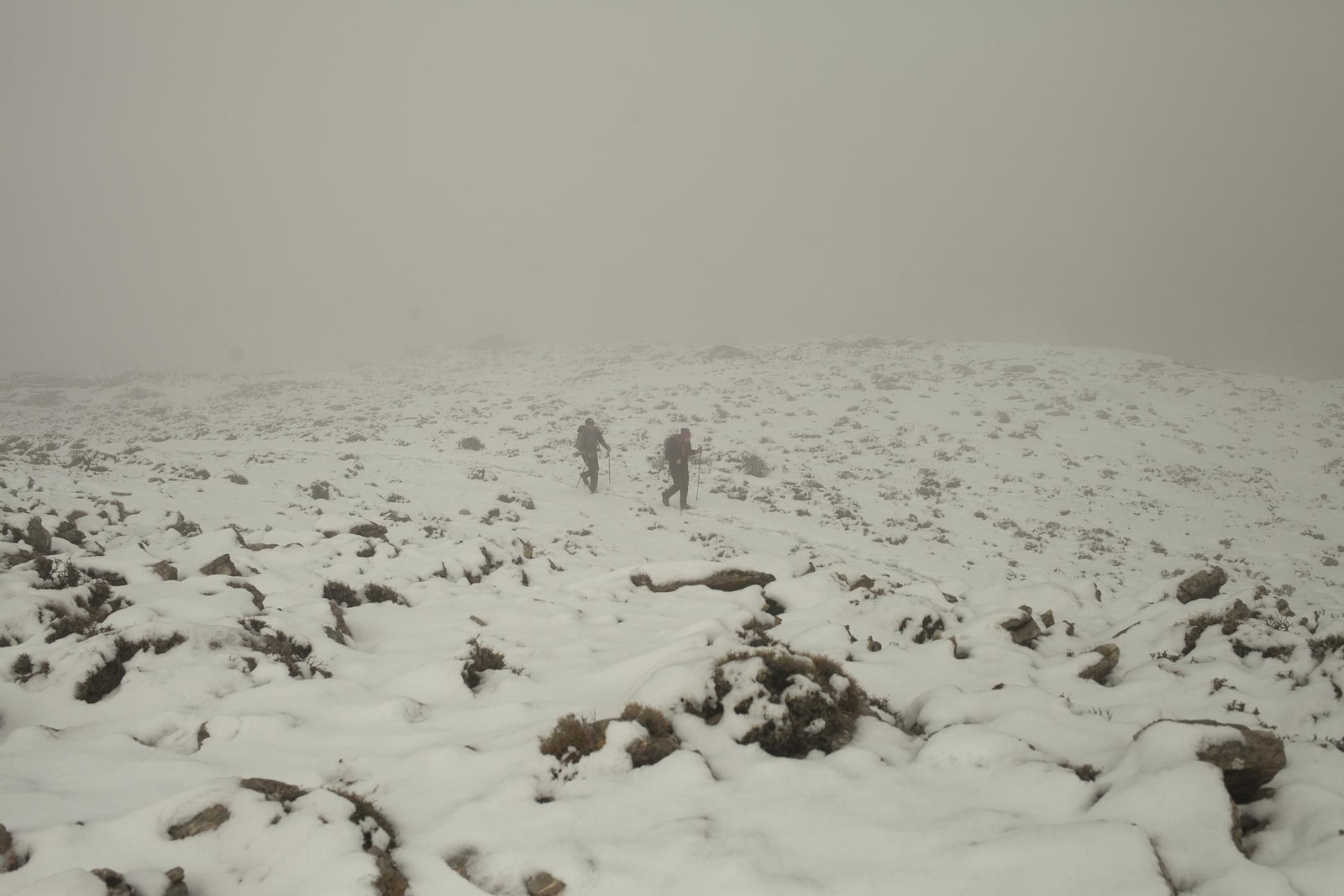 Primeras estampas de invierno en la Sierra de las Nieves