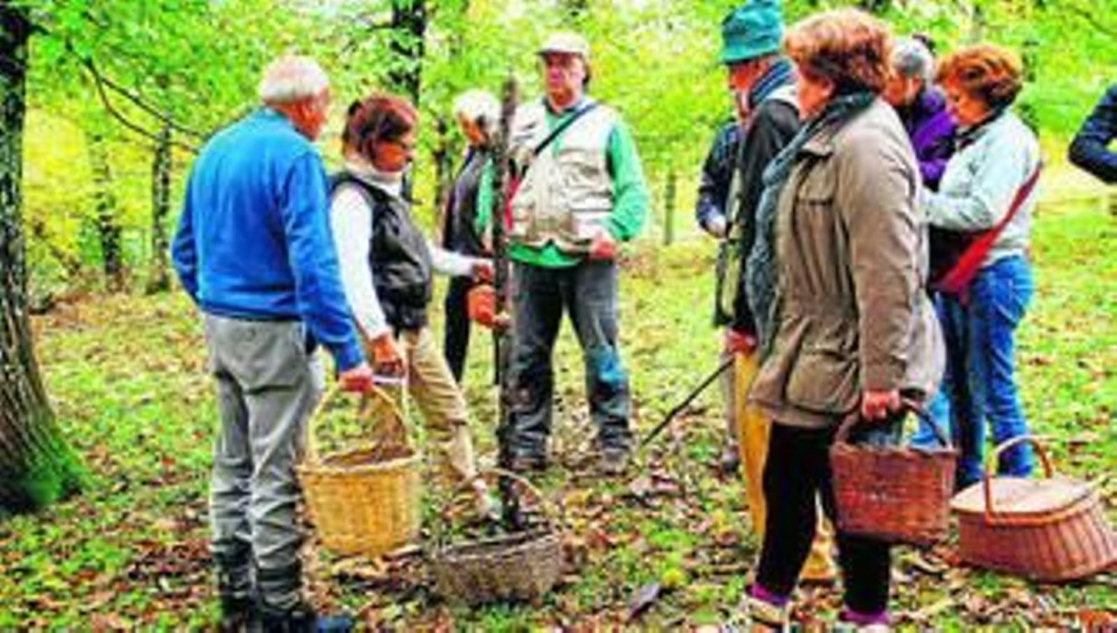 1. Algunas de las personas que participaron en las salidas al campo para buscar setas. 2. Acto de inauguración de las  I Jornadas Micológicas de Cala. 3. Exposición de setas. 4. Participantes en la salida al campo durante la búsqueda de setas.