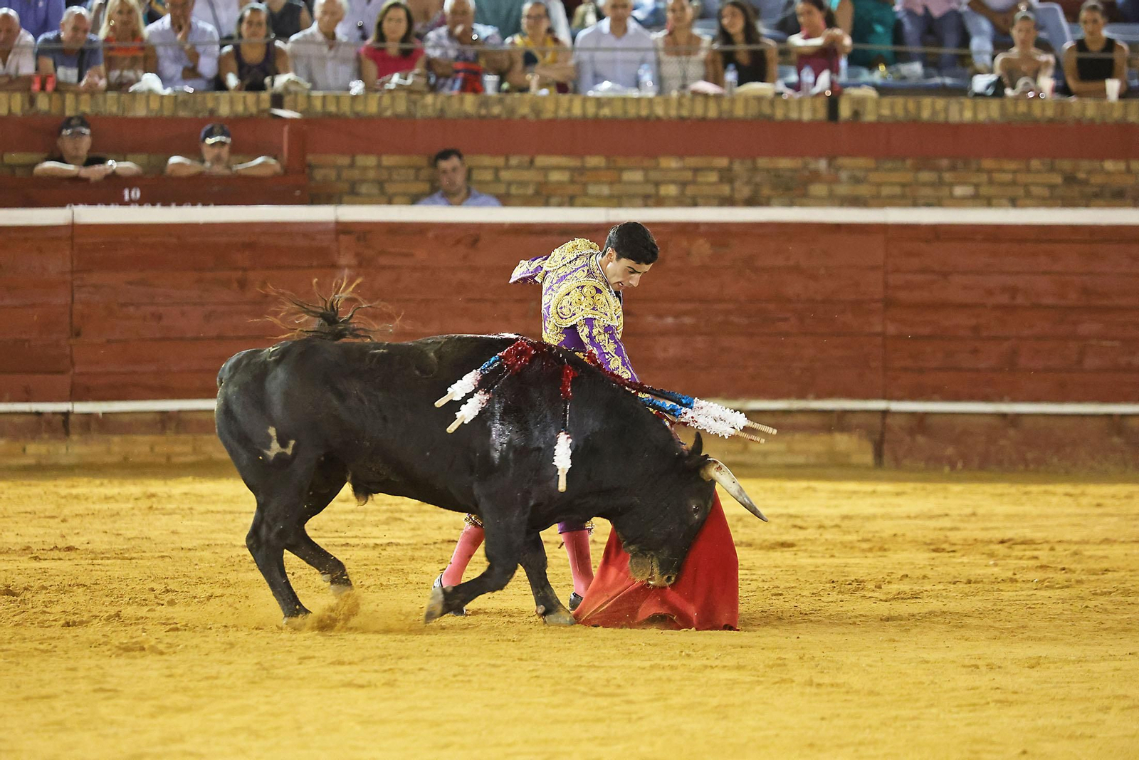 Toros La Merced 2024 Novillada con picadores(