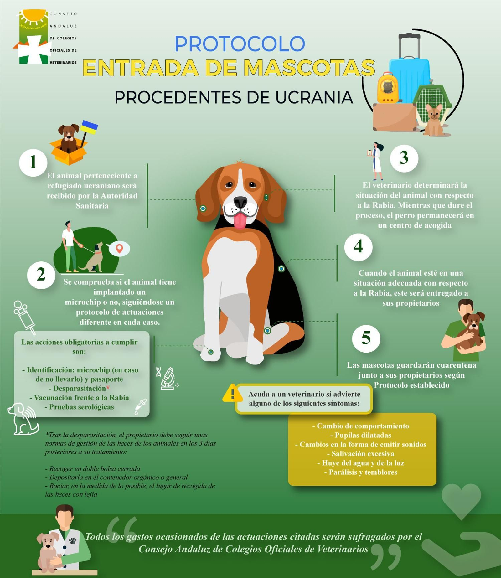 Activado en Almería el protocolo de actuación para los animales de compañía procedentes de Ucrania