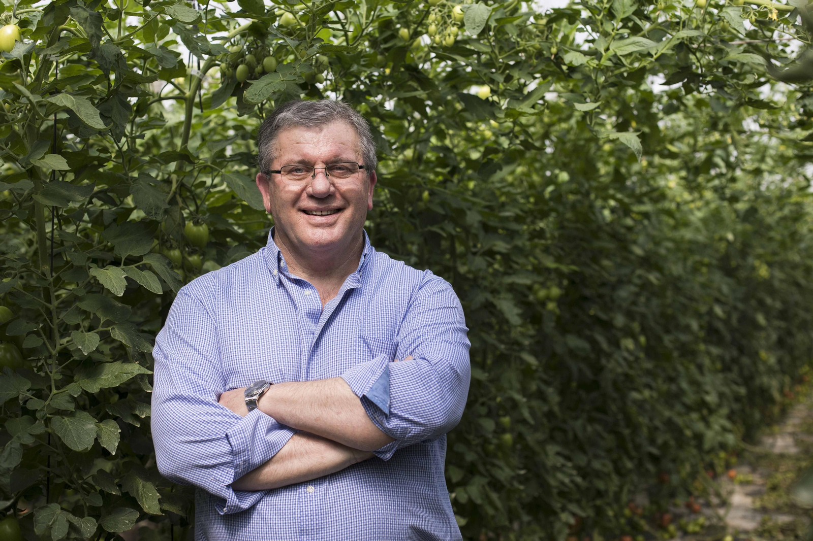 Juan Antonio González, presidente de Vicasol.