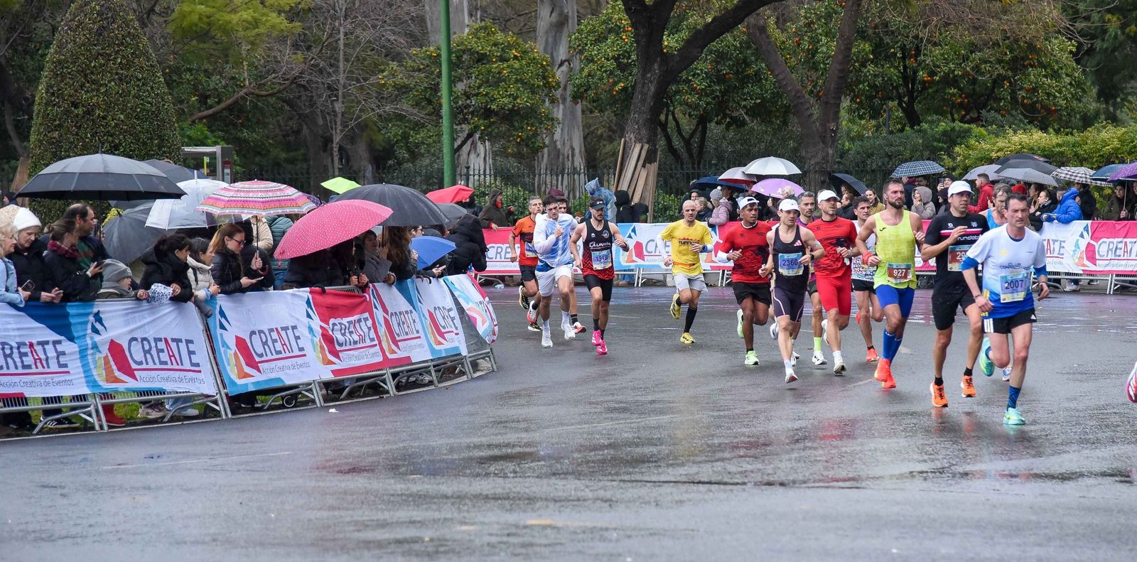 1/2 Maratón Sevilla 2026