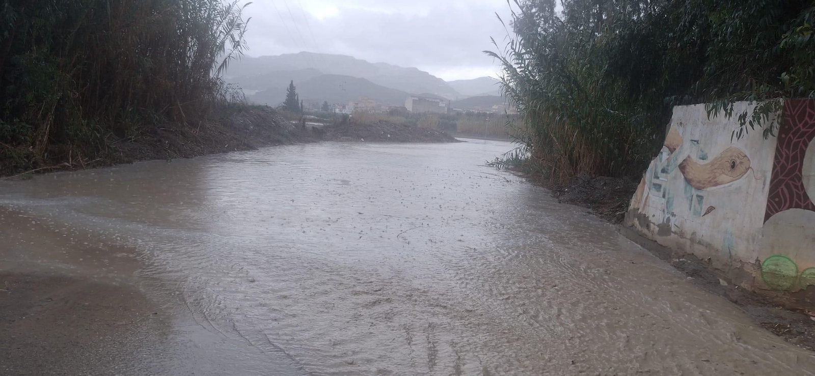 No solo lluvia, también granizo: así ha pasado la borrasca Emilia por el Almanzora y Los Vélez