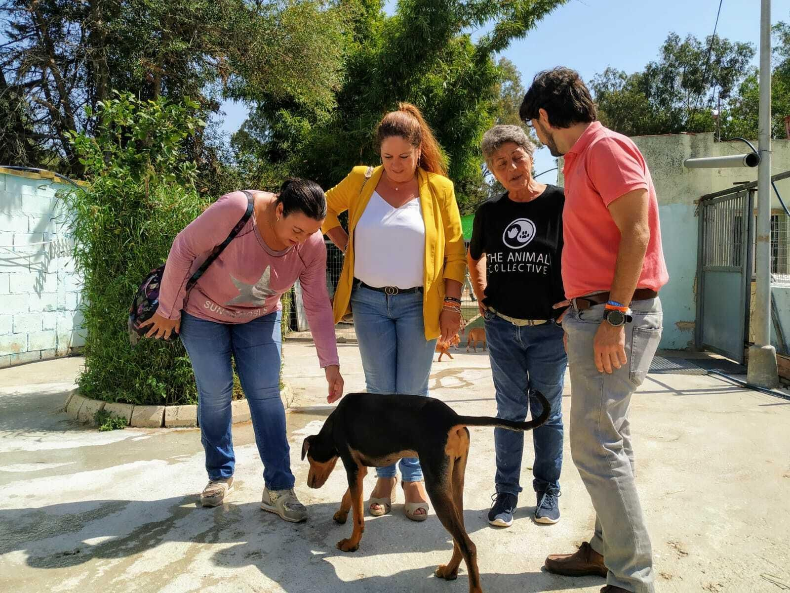 Los ediles, junto a la responsable de la protectora Los ediles, junto a la responsable de la protectora