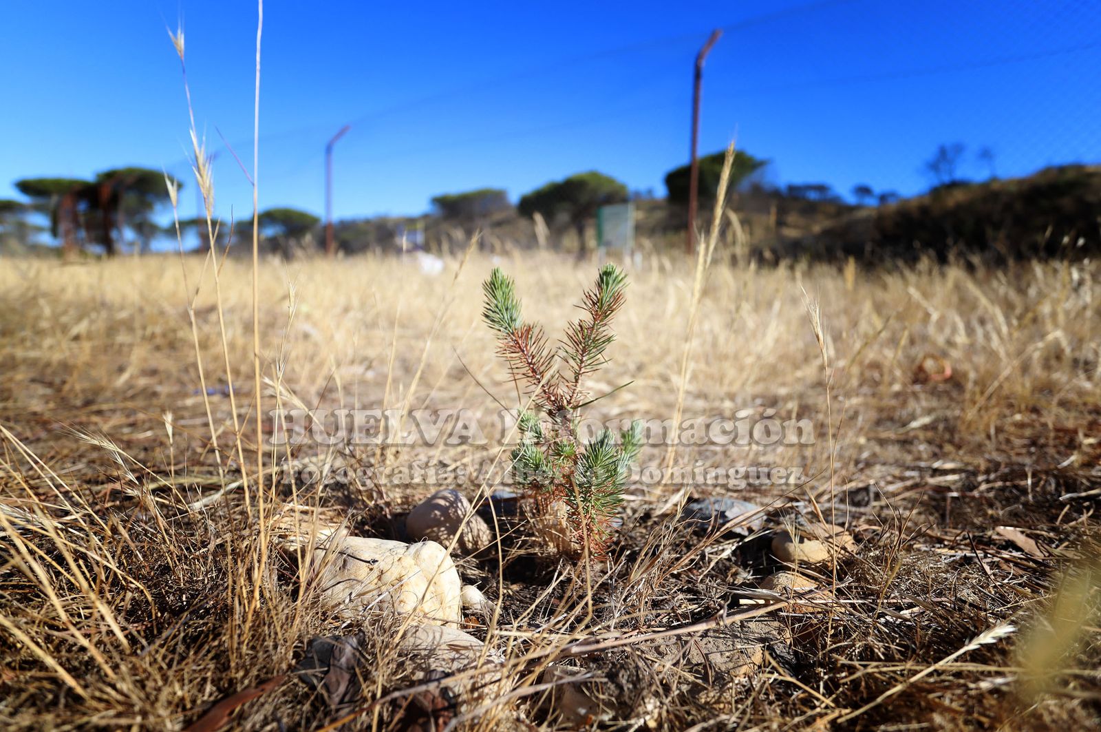 Imágenes de la nueva pasarela de Cuesta Maneli que está en construcción