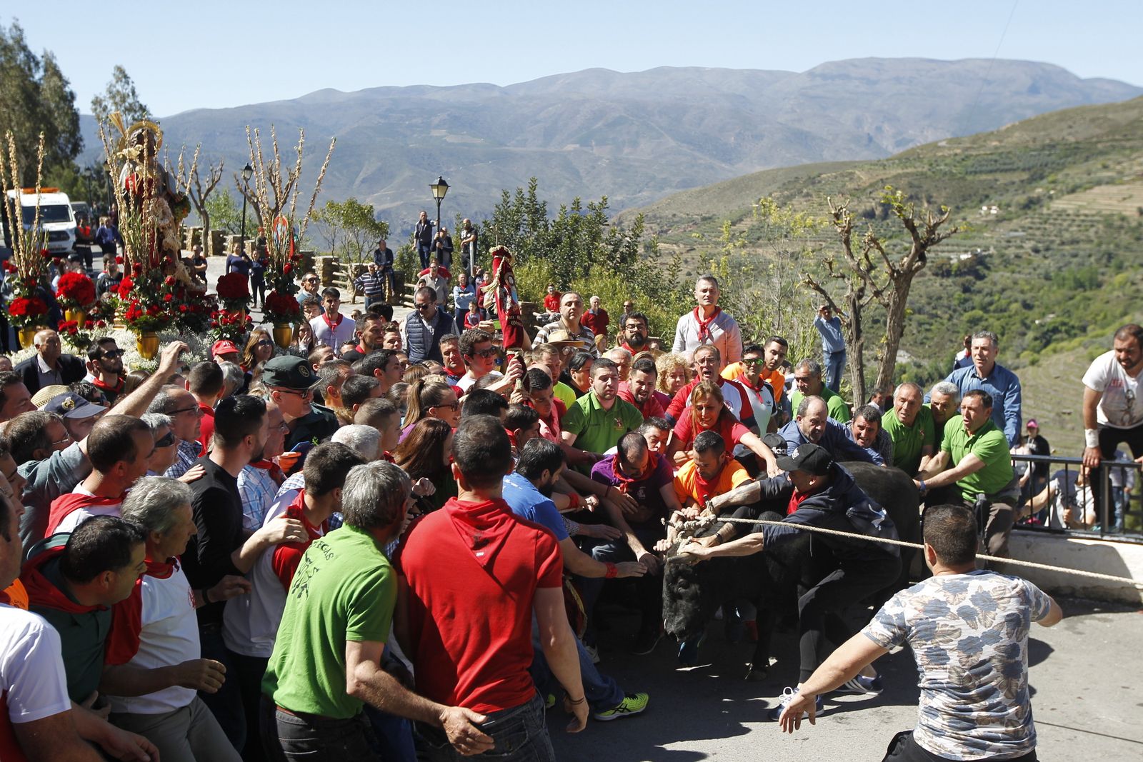 Fotogalería Tosos Ensogaos Ohanes. Fiestas San Marcos.