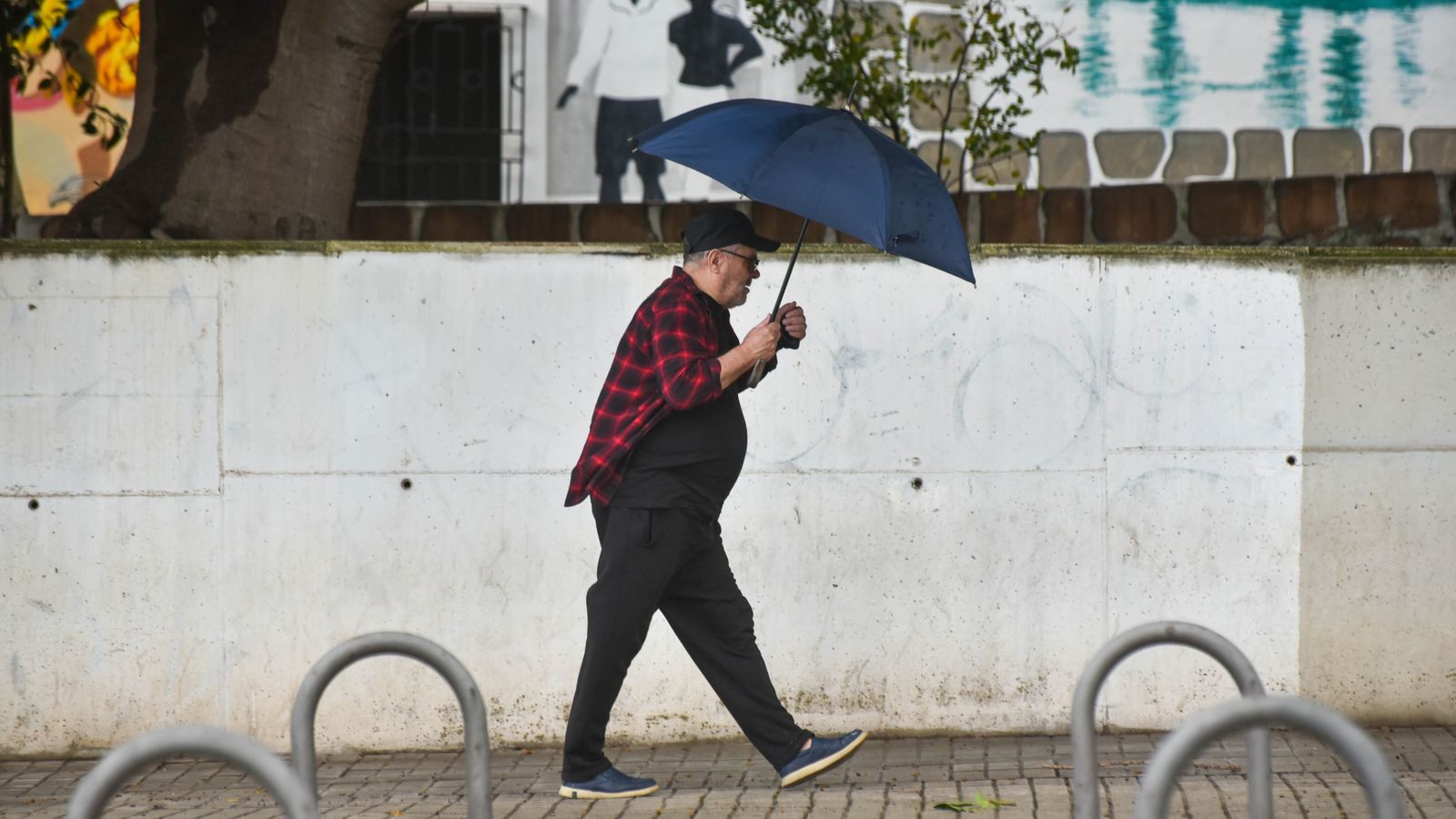 El paso de la borrasca Ciarán por Algeciras, en imágenes