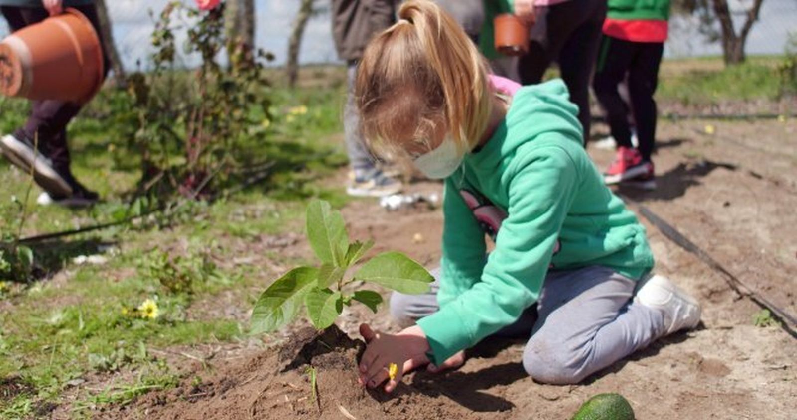 Una alumna sembrando una planta de aguacate.