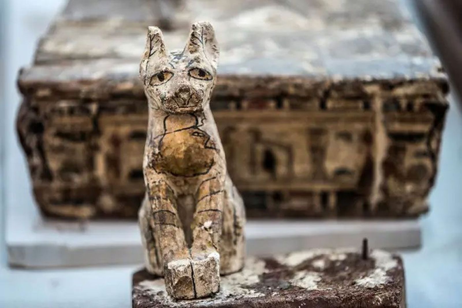 Momia egipcia de un gato.