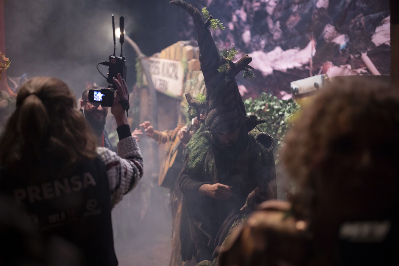 Imágenes de la actuación de la comparsa de Huelva "La vieja verde" en el Carnaval Colombino