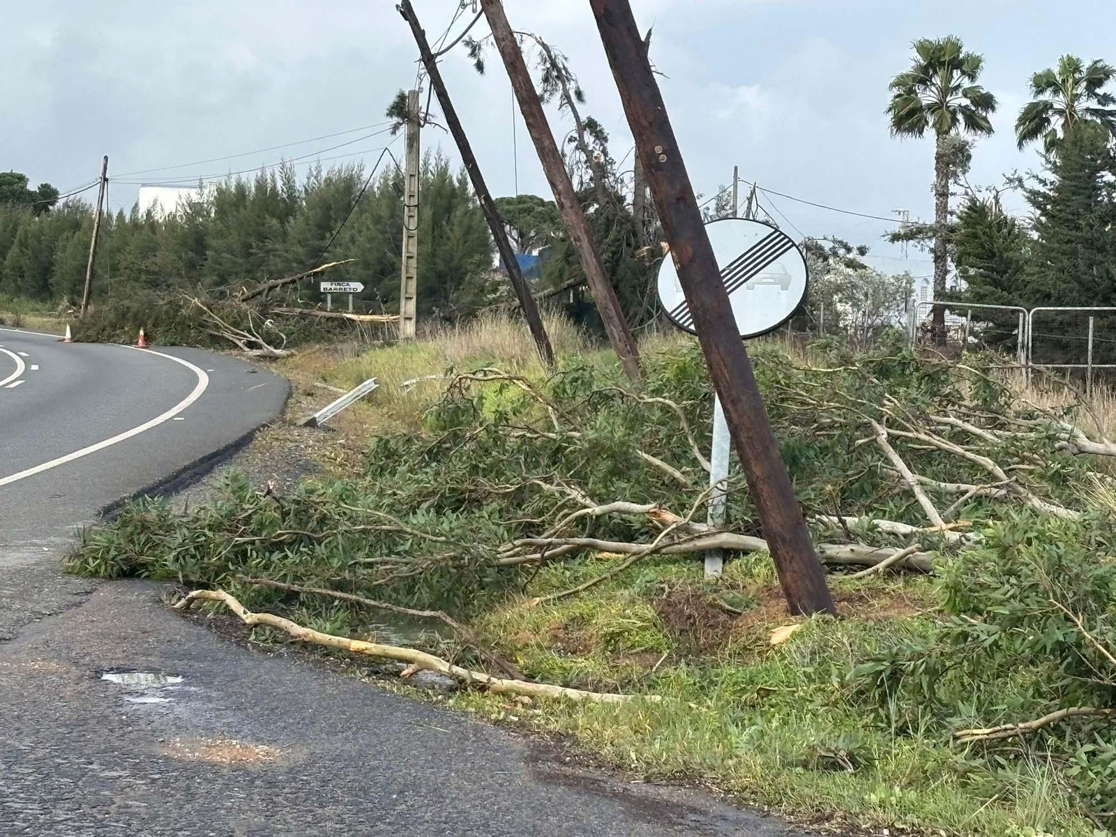 El fuerte viento también ha afectado muy sensiblemente al tendido eléctrico de la zona El fuerte viento también ha afectado muy sensiblemente al tendido eléctrico de la zona