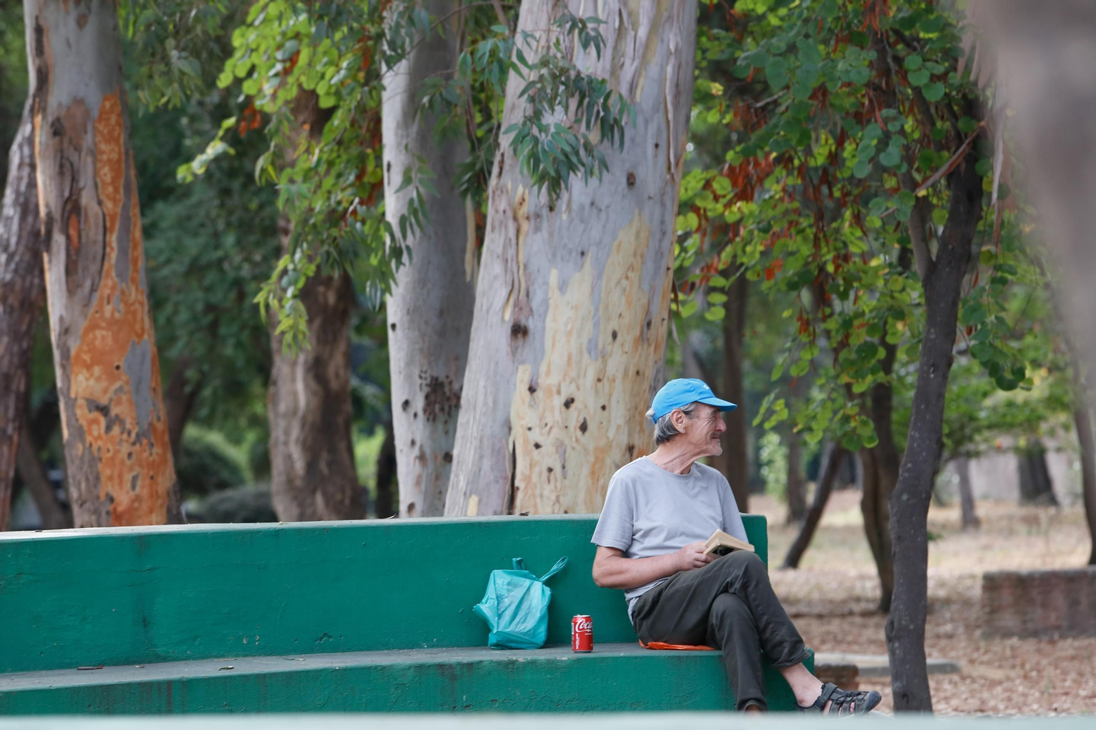 Fotos del Parque de las Acacias, en Villa Smith