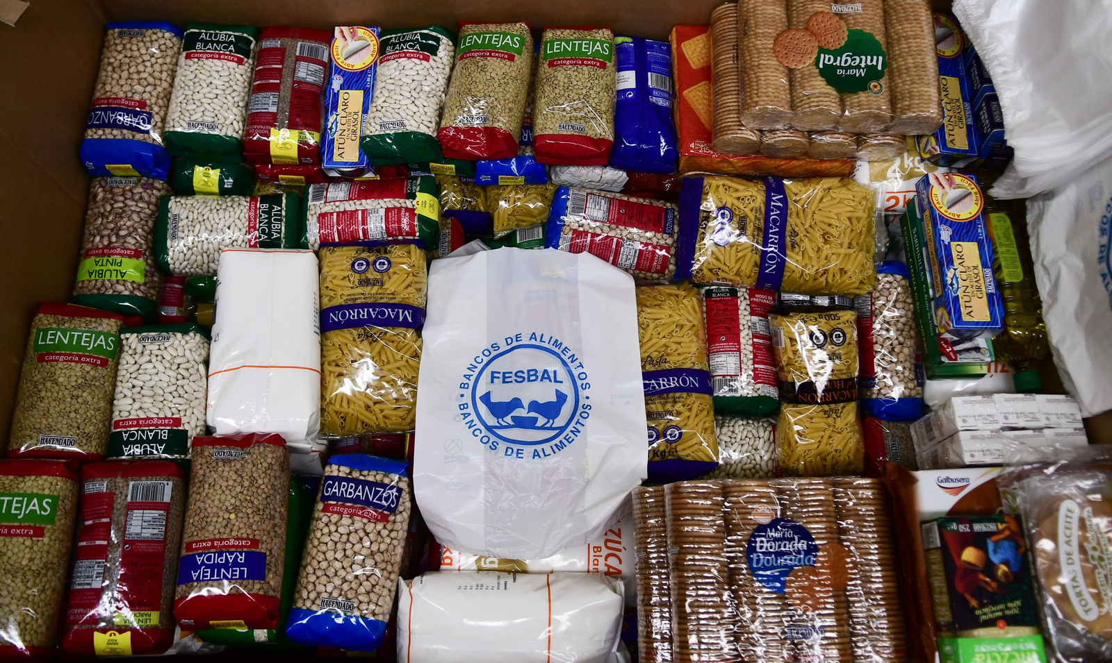 La Gran Recogida del Banco de Alimentos en Córdoba, en imágenes