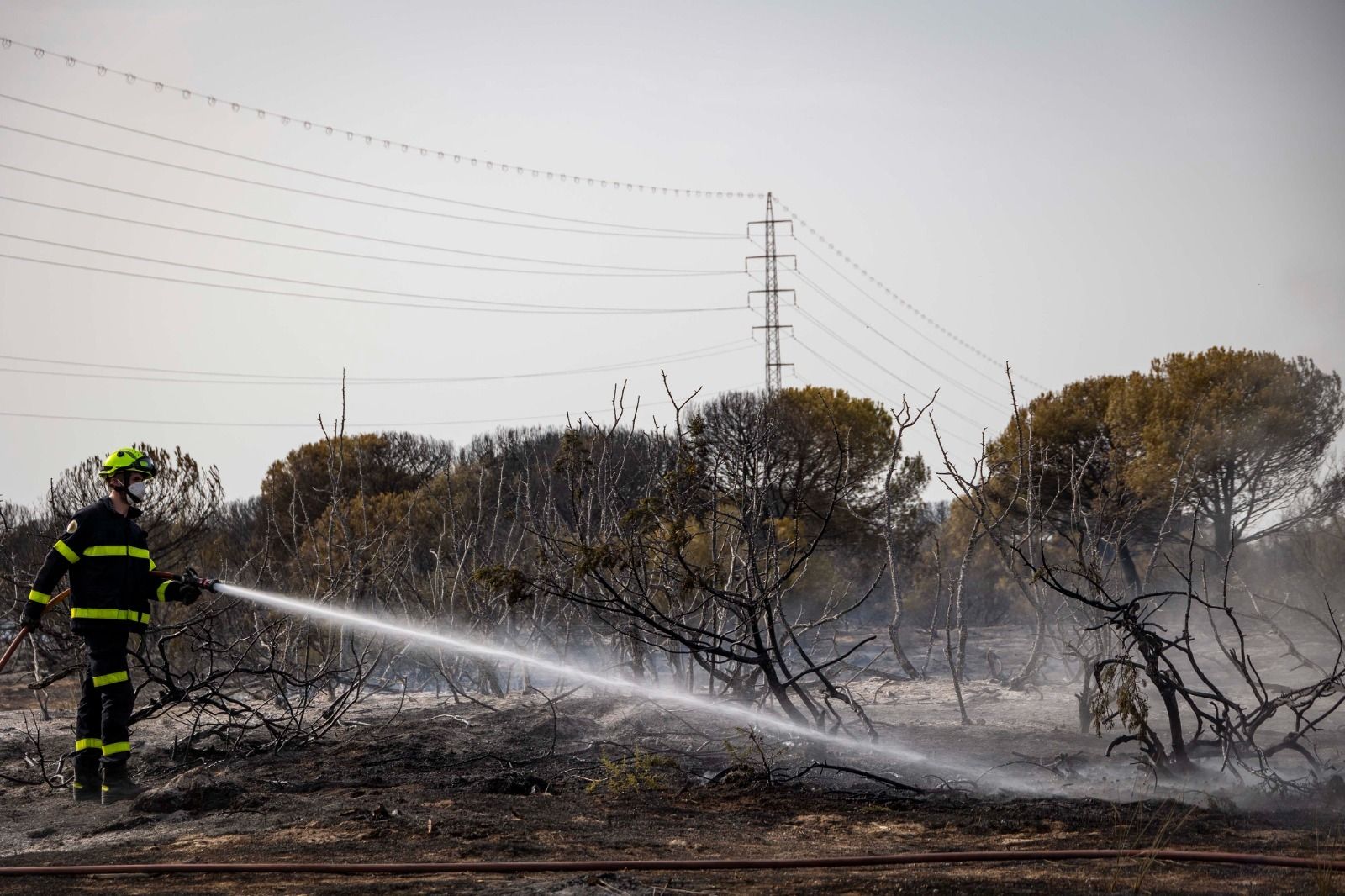 Imágenes del incendio en el Tiro Pichón