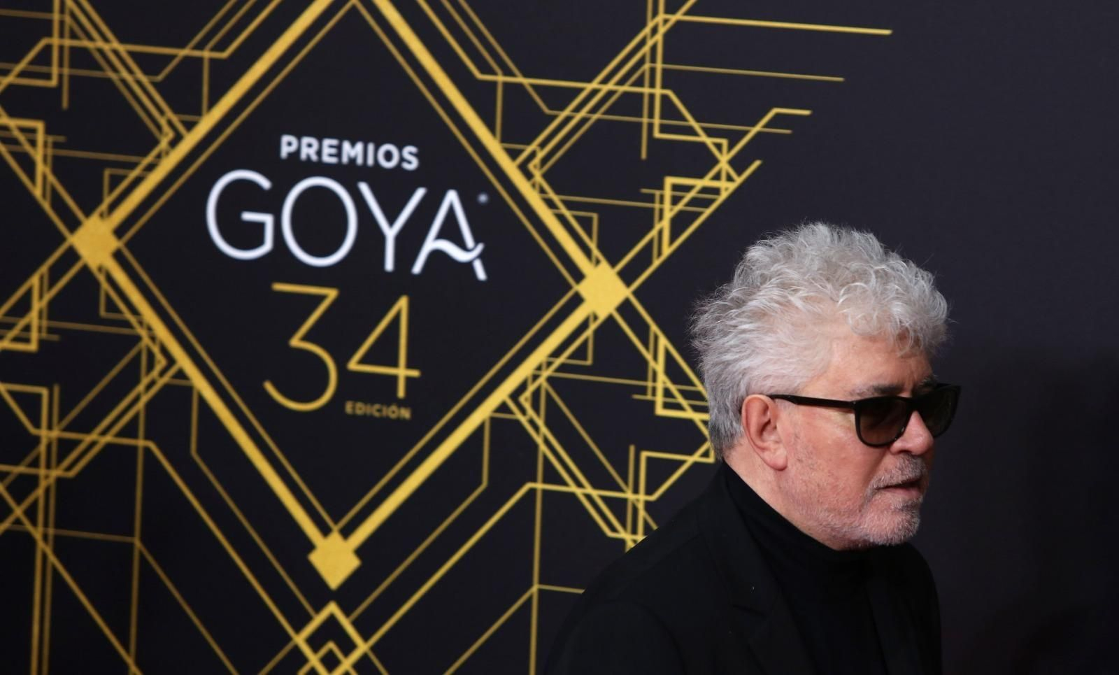 La alfombra roja de los Goya 2020 en Málaga