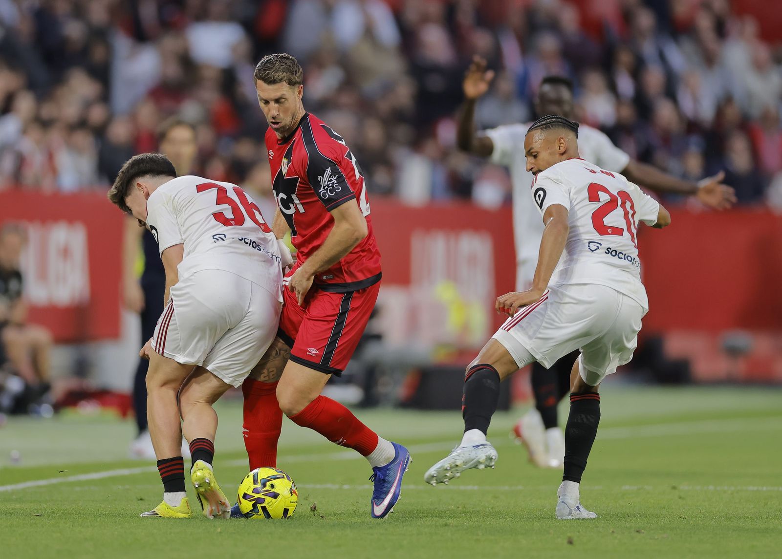 Las fotos del Sevilla FC - Rayo