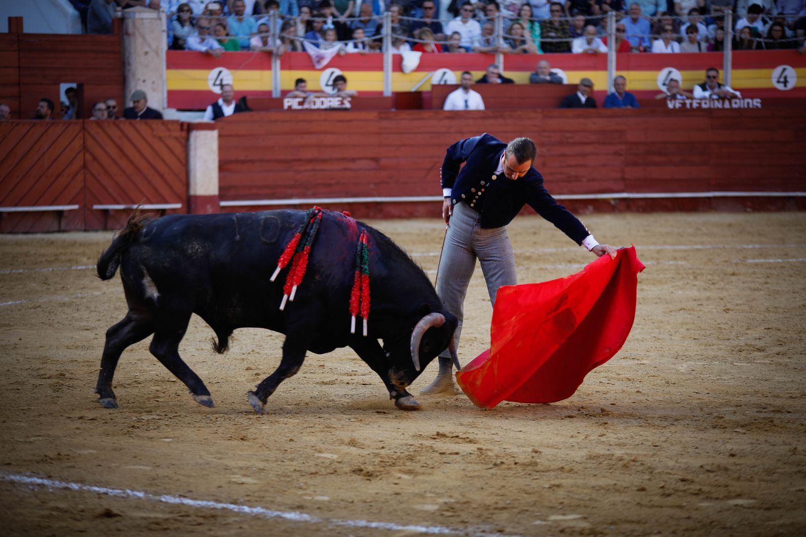 Imágenes del festival mixto lucha contra el cáncer