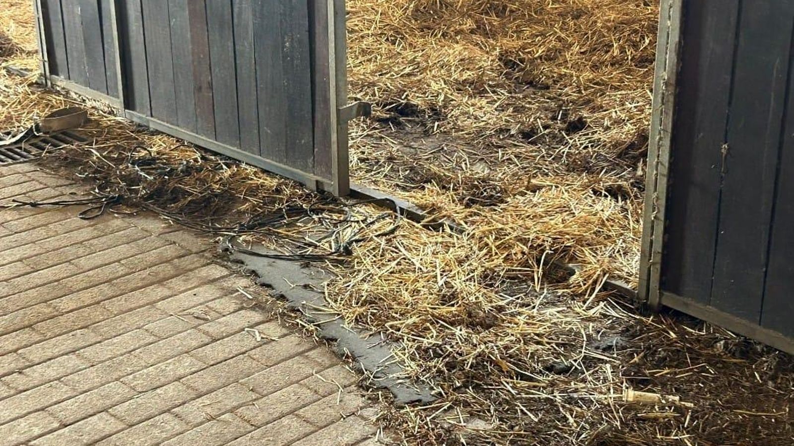 Estado de una de las cuadras.