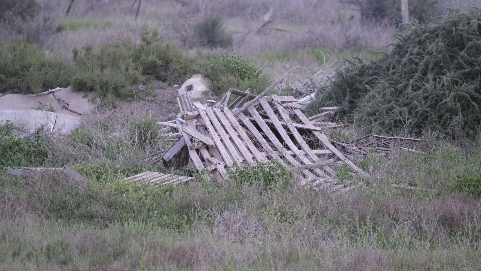 Fotogalería incendio descampado Vega de Acá. Almería