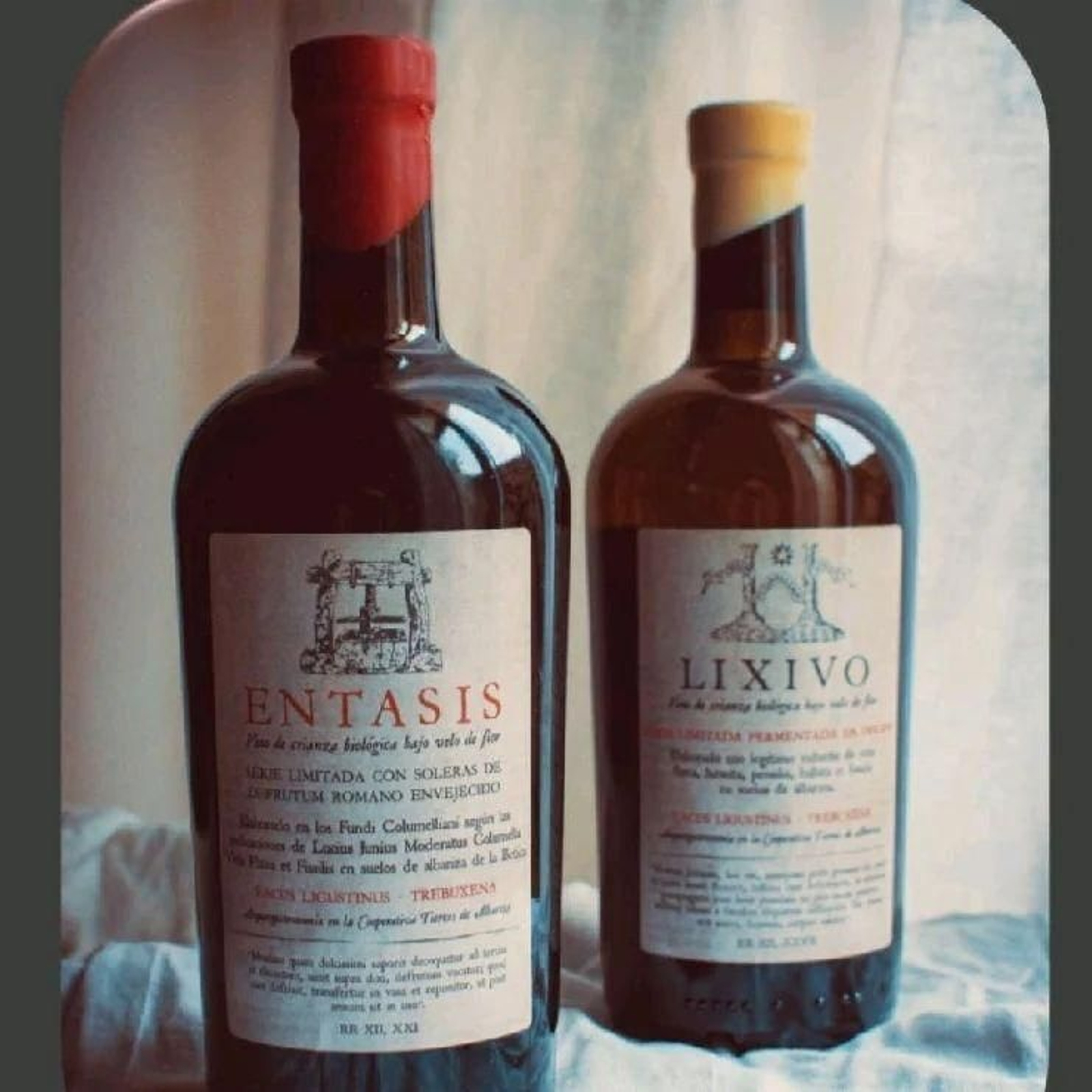 'Éntasis, elaborado con las varietales perruno y palomino, y 'Líxivo', de vidueños de suelos albariza de Trebujena.