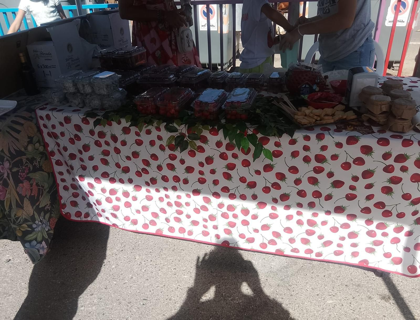 Así se ha vivido la II Feria Equina de Abla