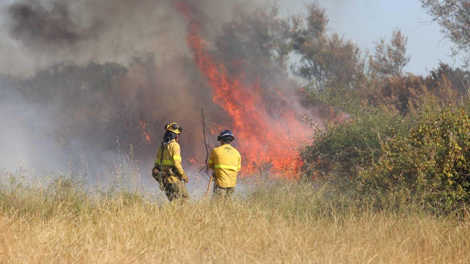 Las llamas han quedado bajo control a última hora de la tarde.