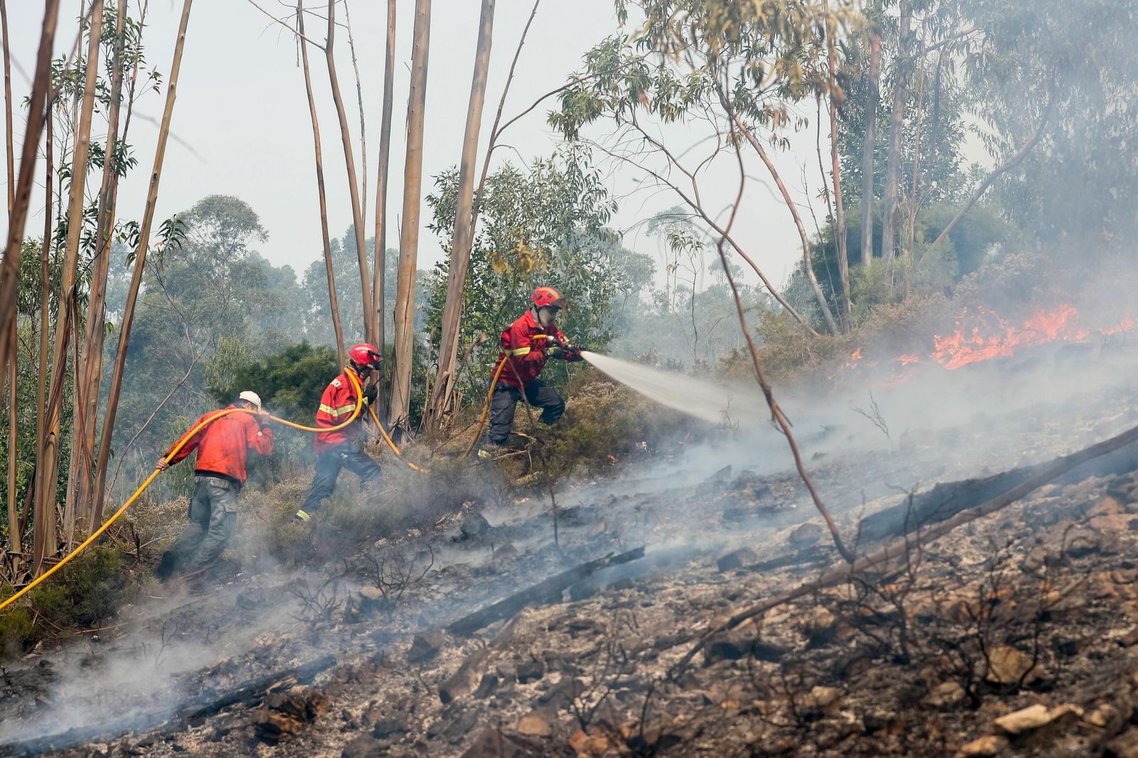 La extinción del incendio del centro de Portugal, en imágenes