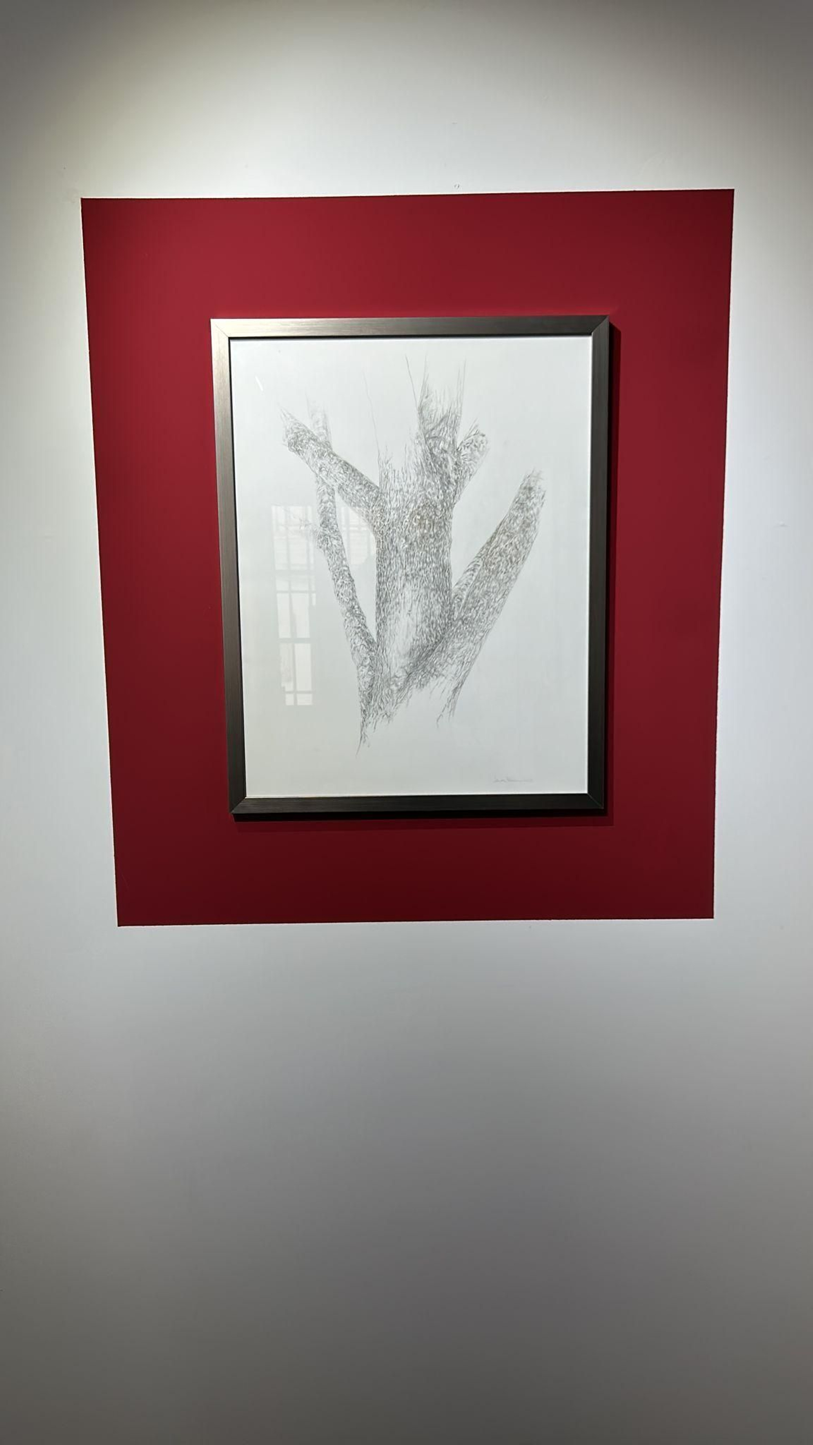 Obra de Javier Velasco. Obra de Javier Velasco.