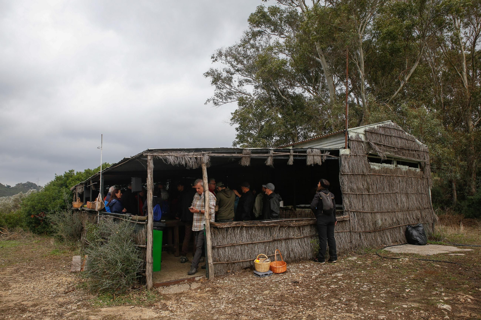 Las fotos de las XII Jornadas Micológicas del Estrecho en Los Barrios