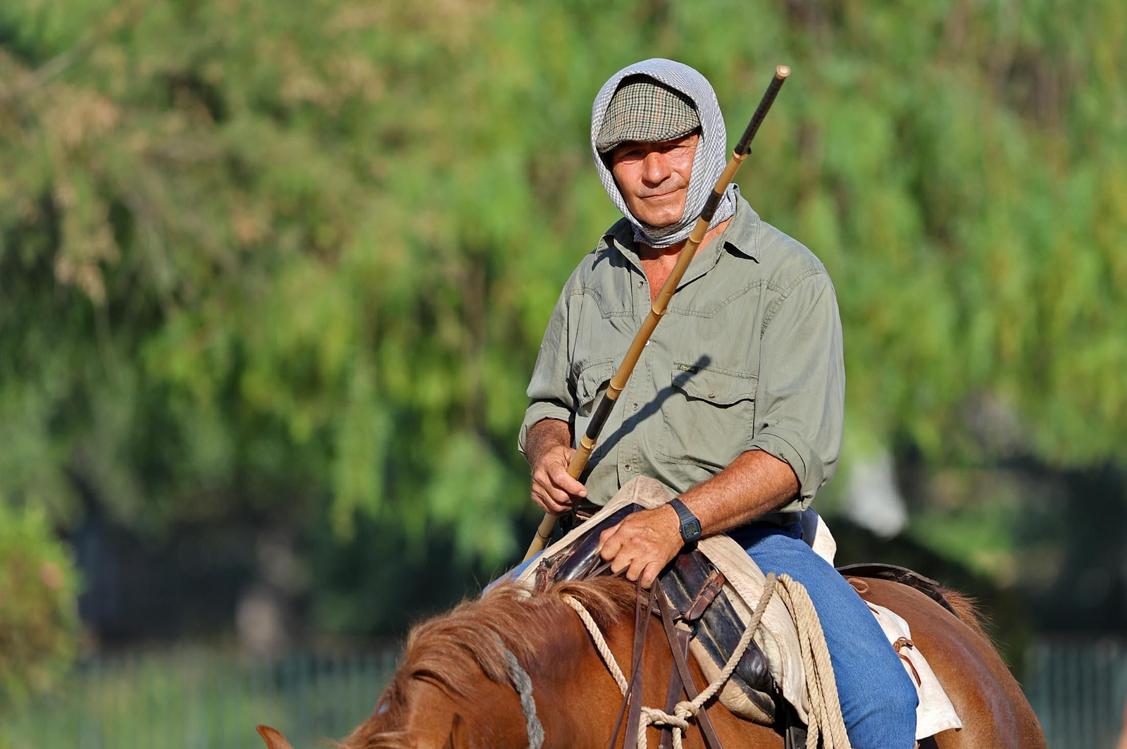 Las mejores imágenes de la Saca de las Yeguas 2025